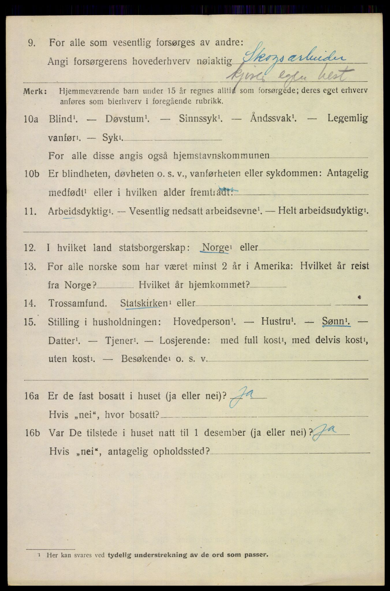 SAH, 1920 census for Elverum, 1920, p. 21199