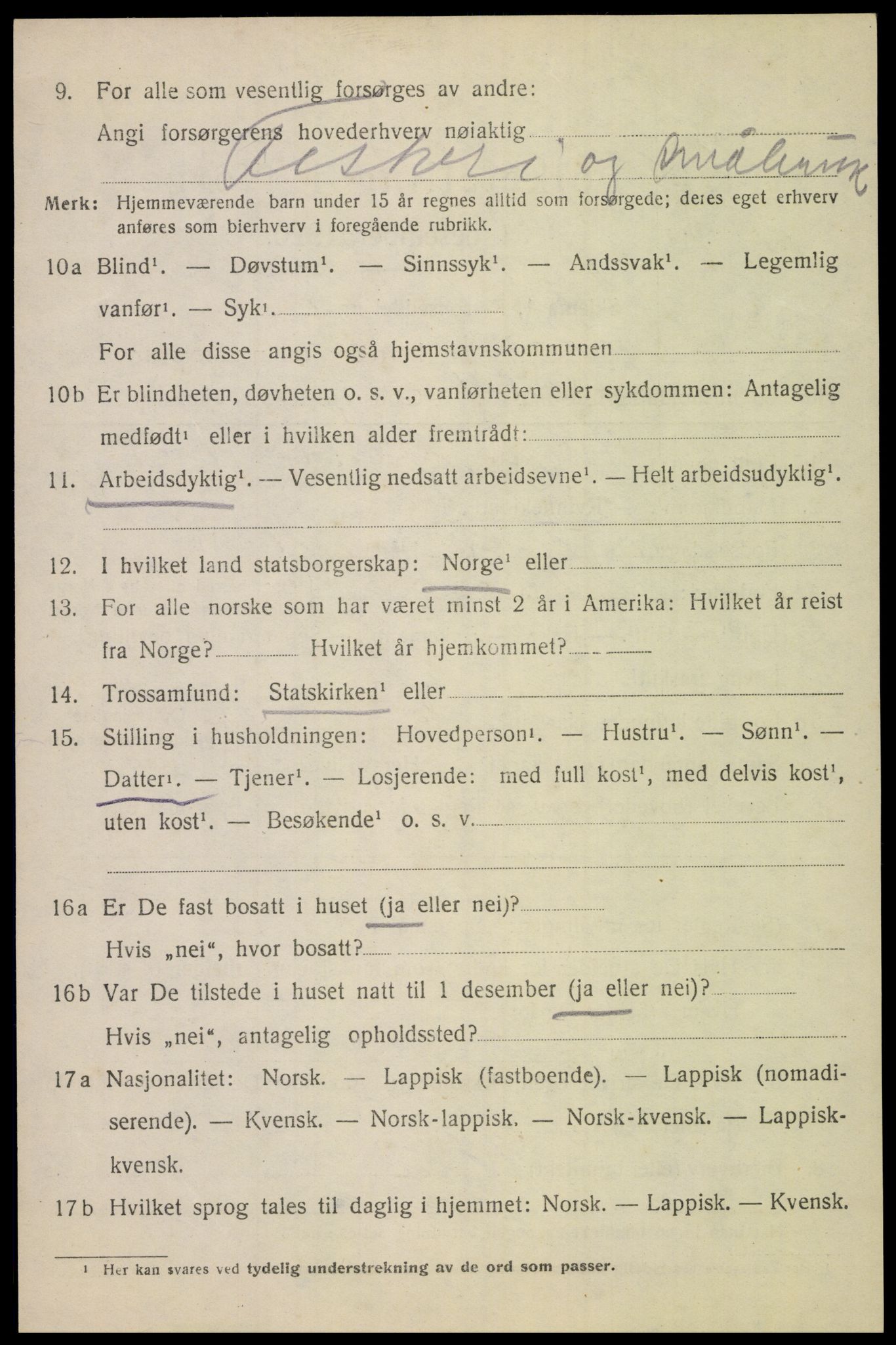 SAT, 1920 census for Bodin, 1920, p. 10117