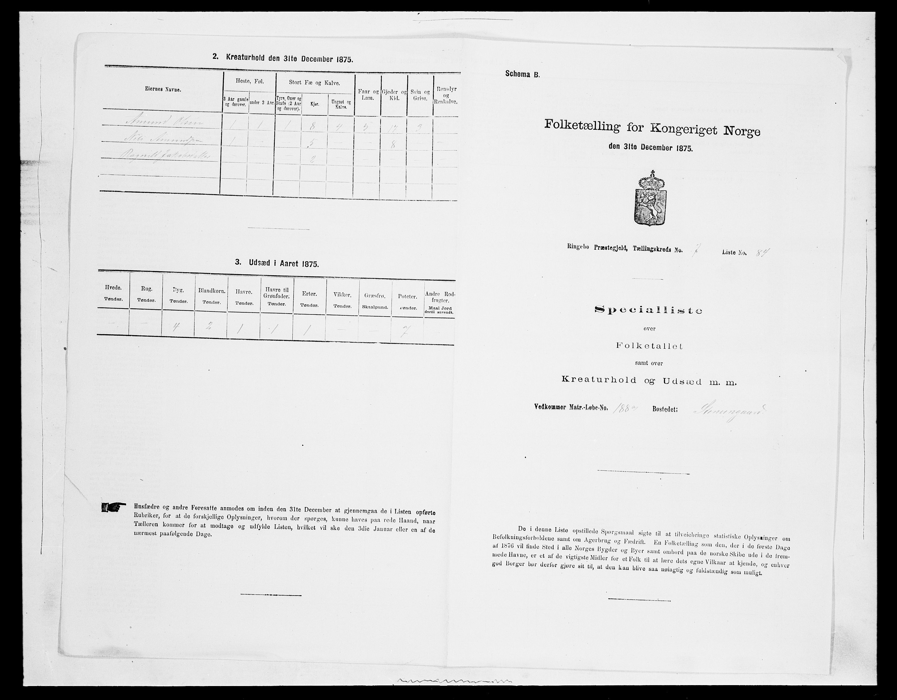 SAH, 1875 census for 0520P Ringebu, 1875, p. 1176