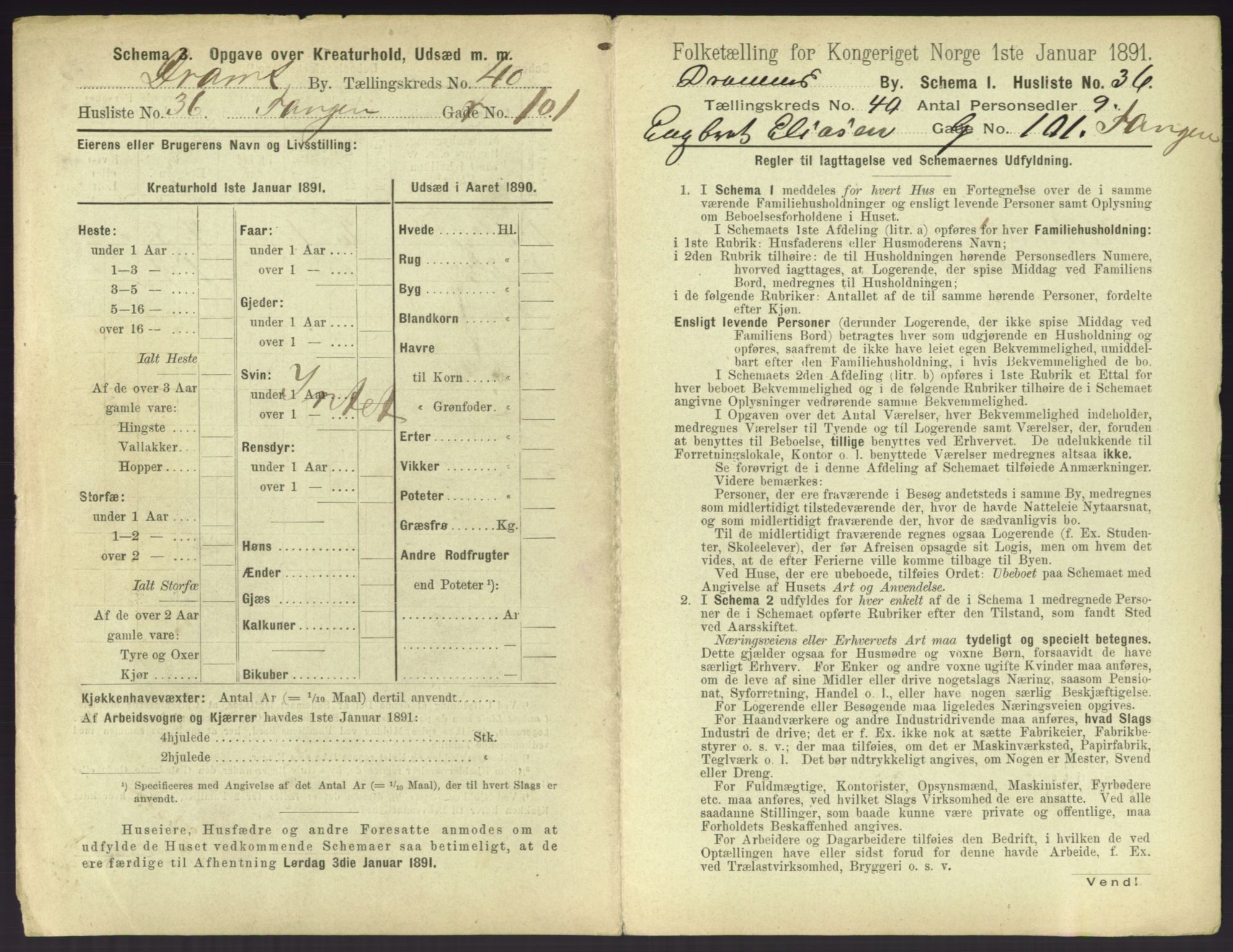 RA, 1891 census for 0602 Drammen, 1891, p. 3631