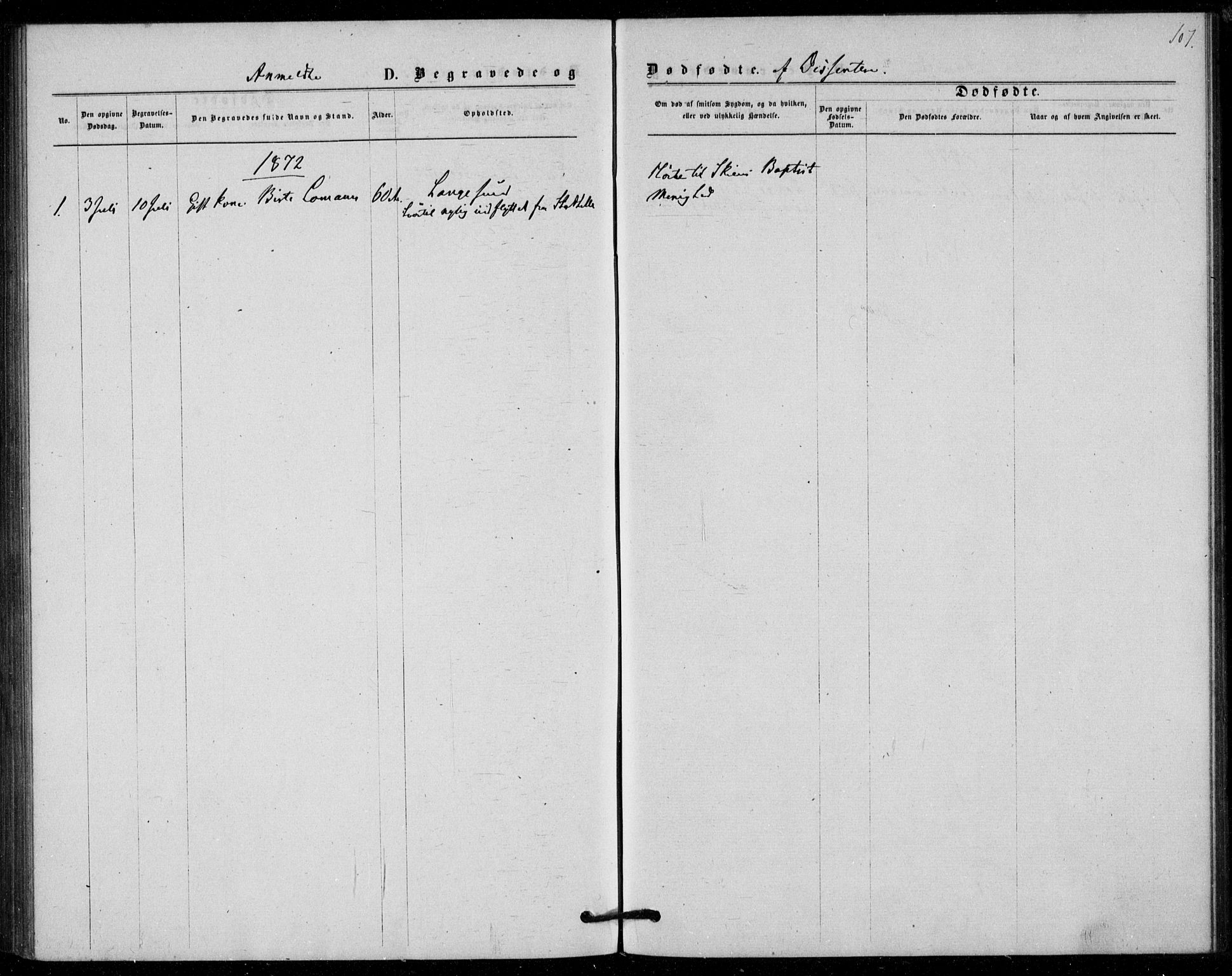 Langesund kirkebøker, SAKO/A-280/F/Fa/L0001: Parish register (official) no. 1, 1870-1877, p. 107