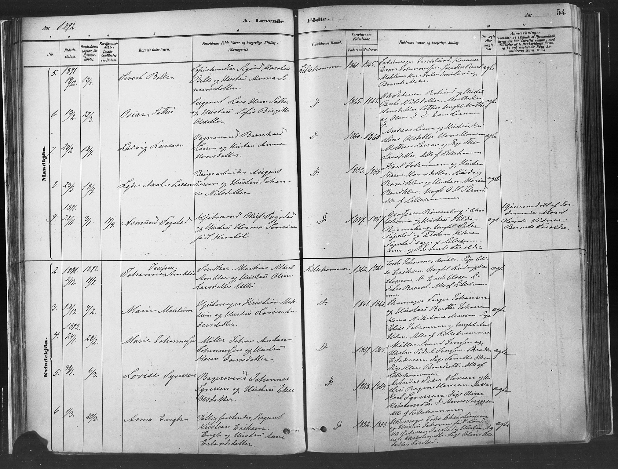 Fåberg prestekontor, SAH/PREST-086/H/Ha/Haa/L0010: Parish register (official) no. 10, 1879-1900, p. 54