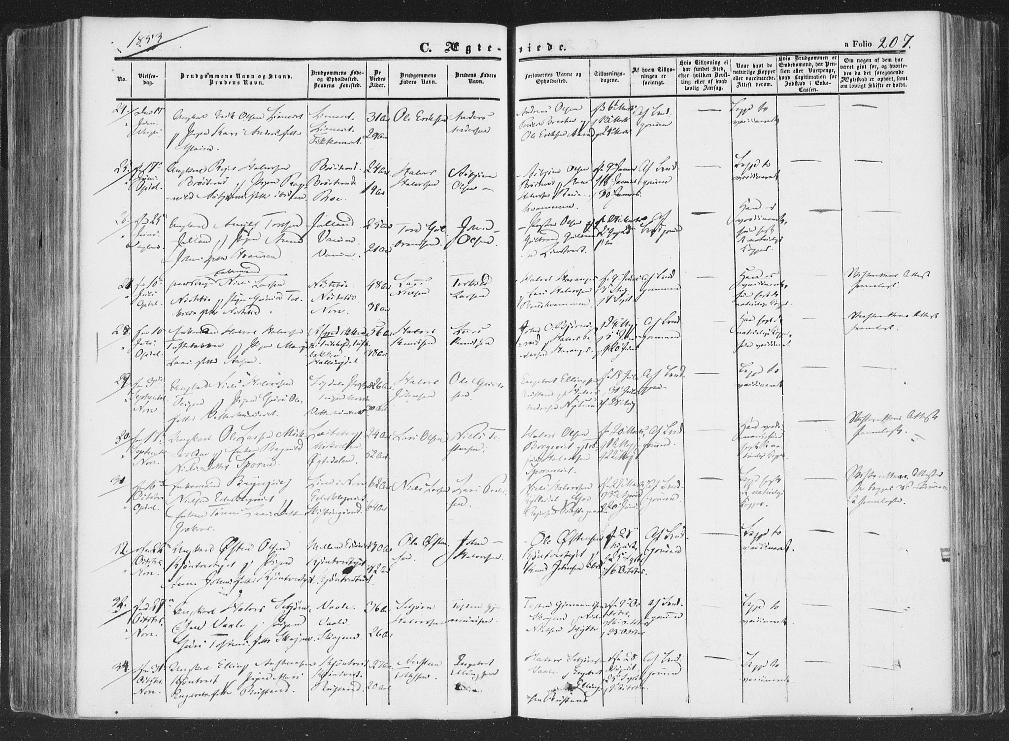 Rollag kirkebøker, AV/SAKO-A-240/F/Fa/L0008: Parish register (official) no. I 8, 1847-1860, p. 207