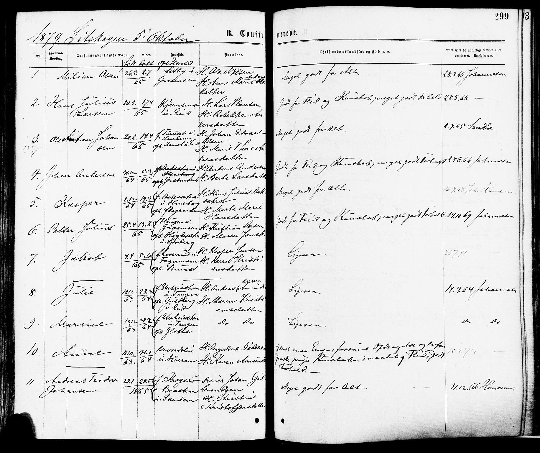 Høland prestekontor Kirkebøker, SAO/A-10346a/F/Fa/L0012.a: Parish register (official) no. I 12A, 1869-1879, p. 299