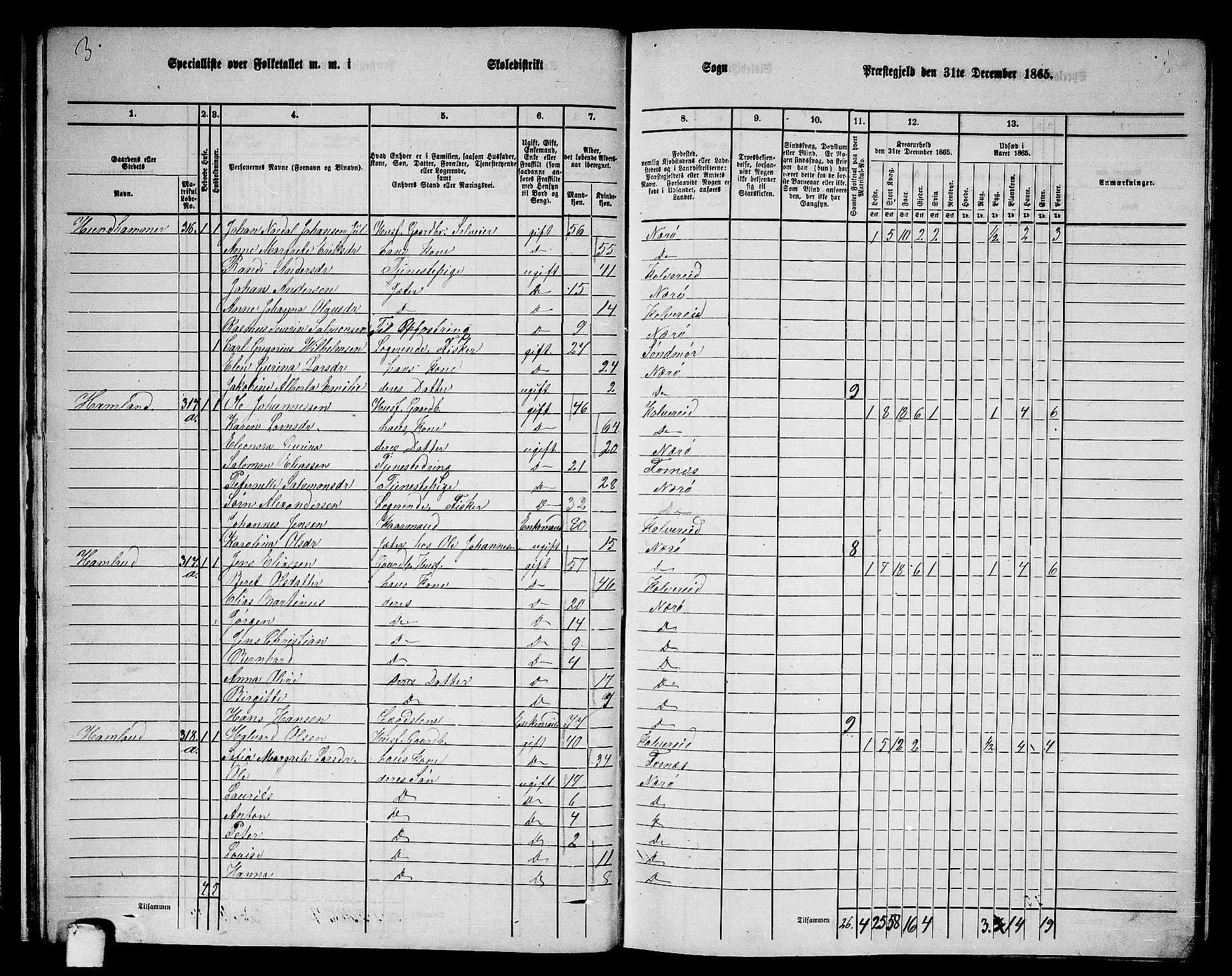 RA, 1865 census for Nærøy, 1865, p. 26