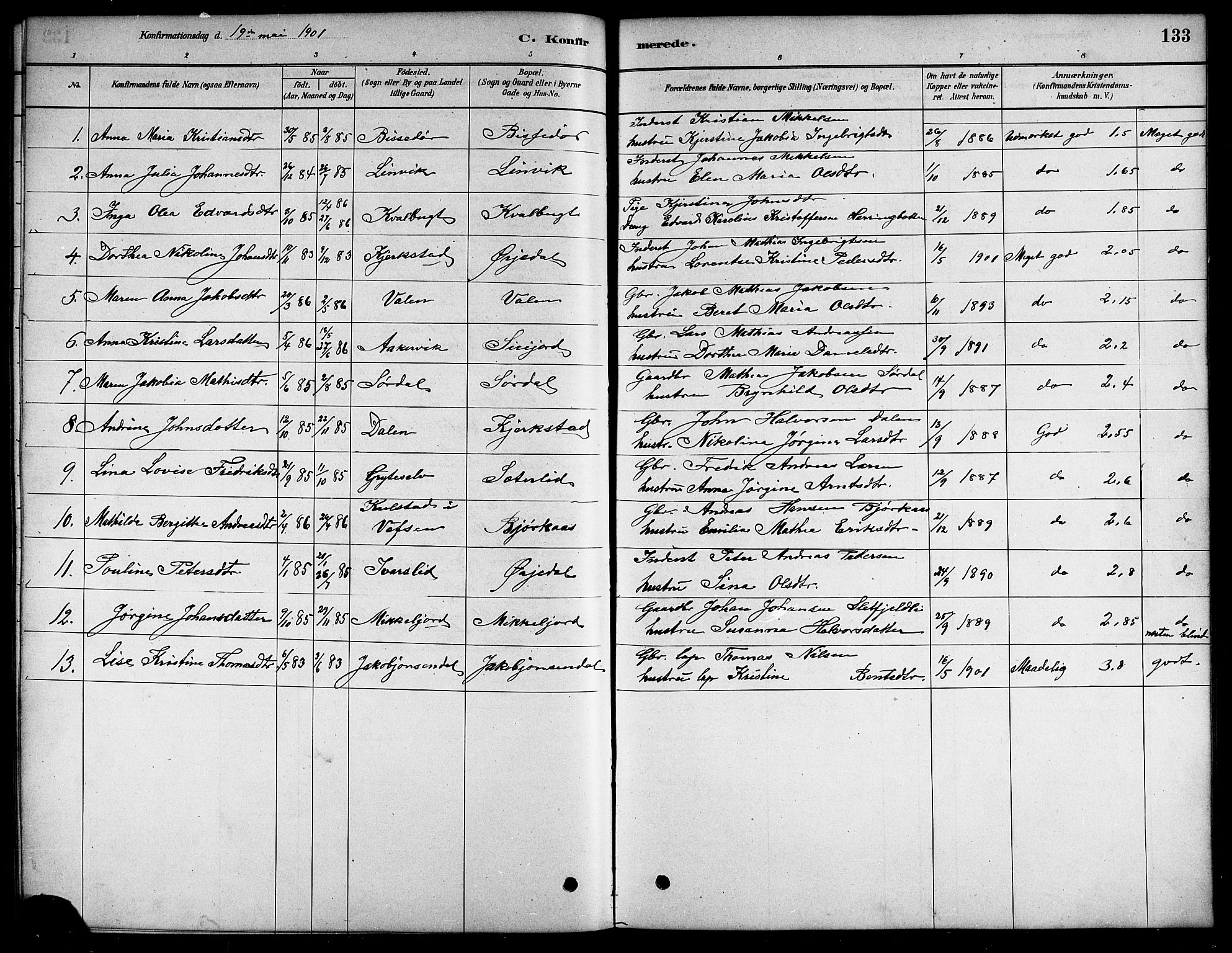 Ministerialprotokoller, klokkerbøker og fødselsregistre - Nordland, SAT/A-1459/823/L0330: Parish register (copy) no. 823C02, 1879-1916, p. 133