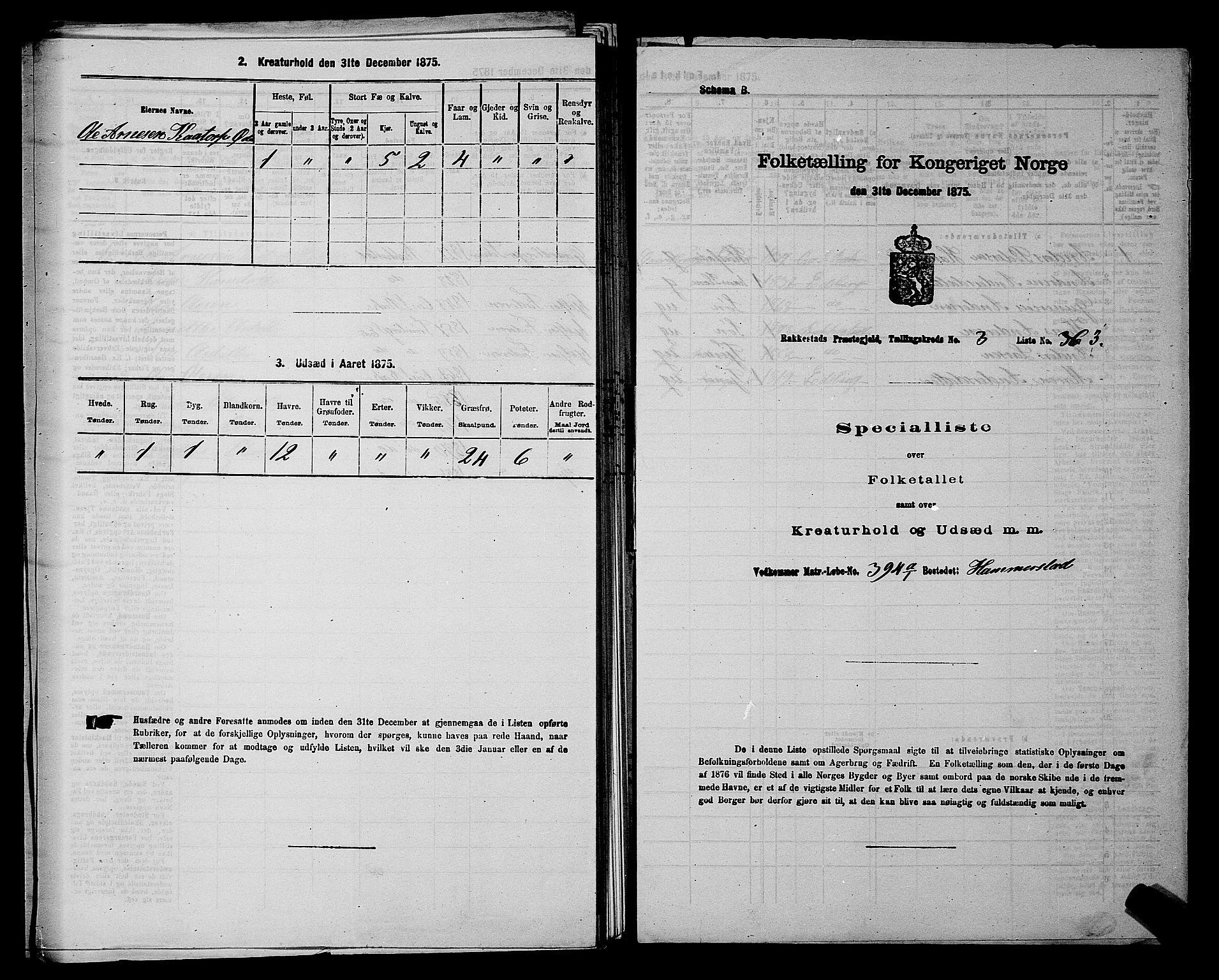 RA, 1875 census for 0128P Rakkestad, 1875, p. 552