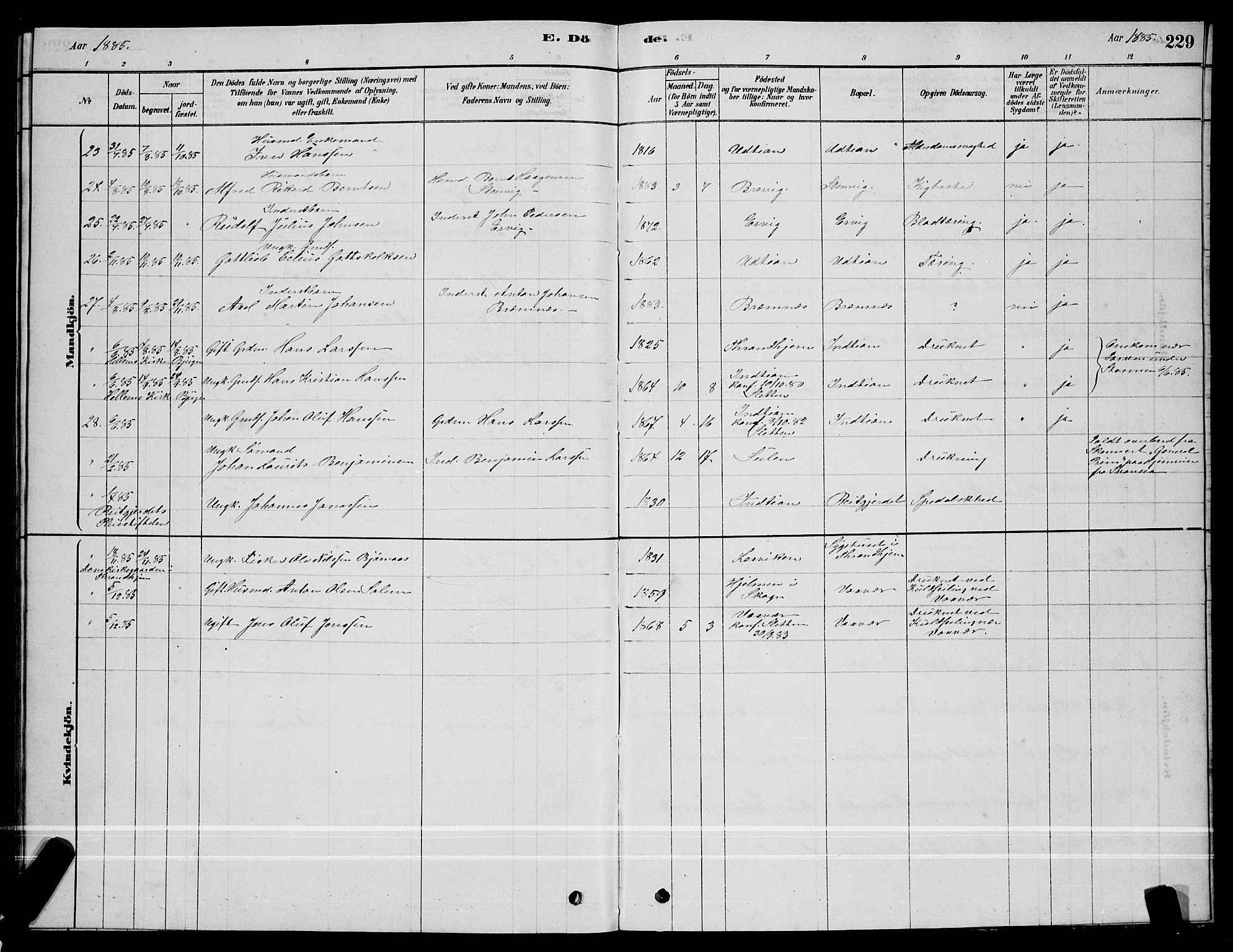 Ministerialprotokoller, klokkerbøker og fødselsregistre - Sør-Trøndelag, SAT/A-1456/640/L0585: Parish register (copy) no. 640C03, 1878-1891, p. 229