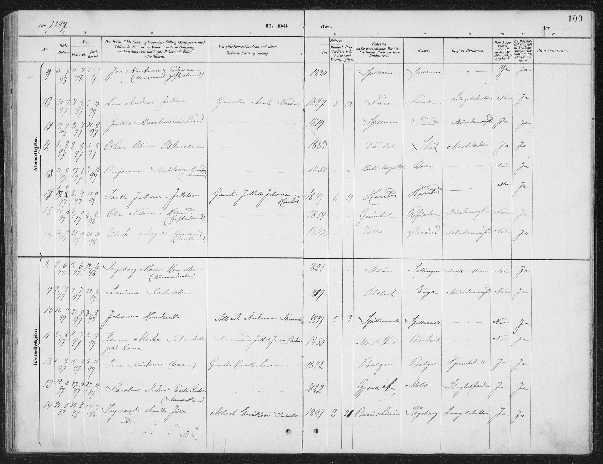 Ministerialprotokoller, klokkerbøker og fødselsregistre - Nordland, AV/SAT-A-1459/843/L0638: Parish register (copy) no. 843C07, 1888-1907, p. 100