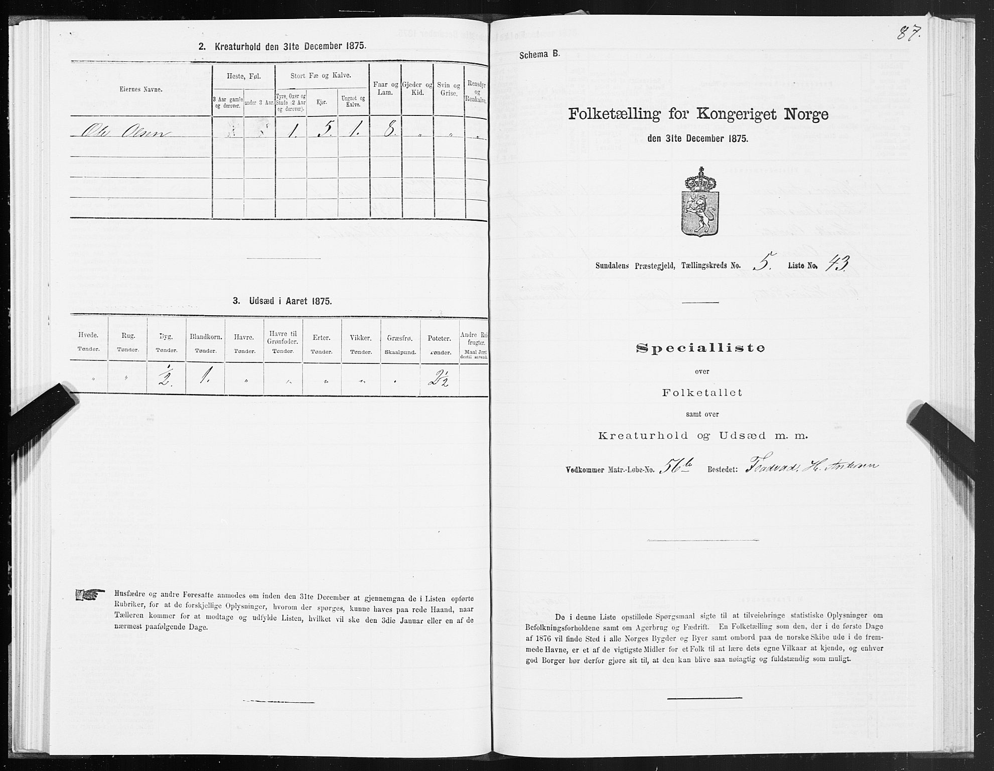 SAT, 1875 census for 1563P Sunndal, 1875, p. 2087