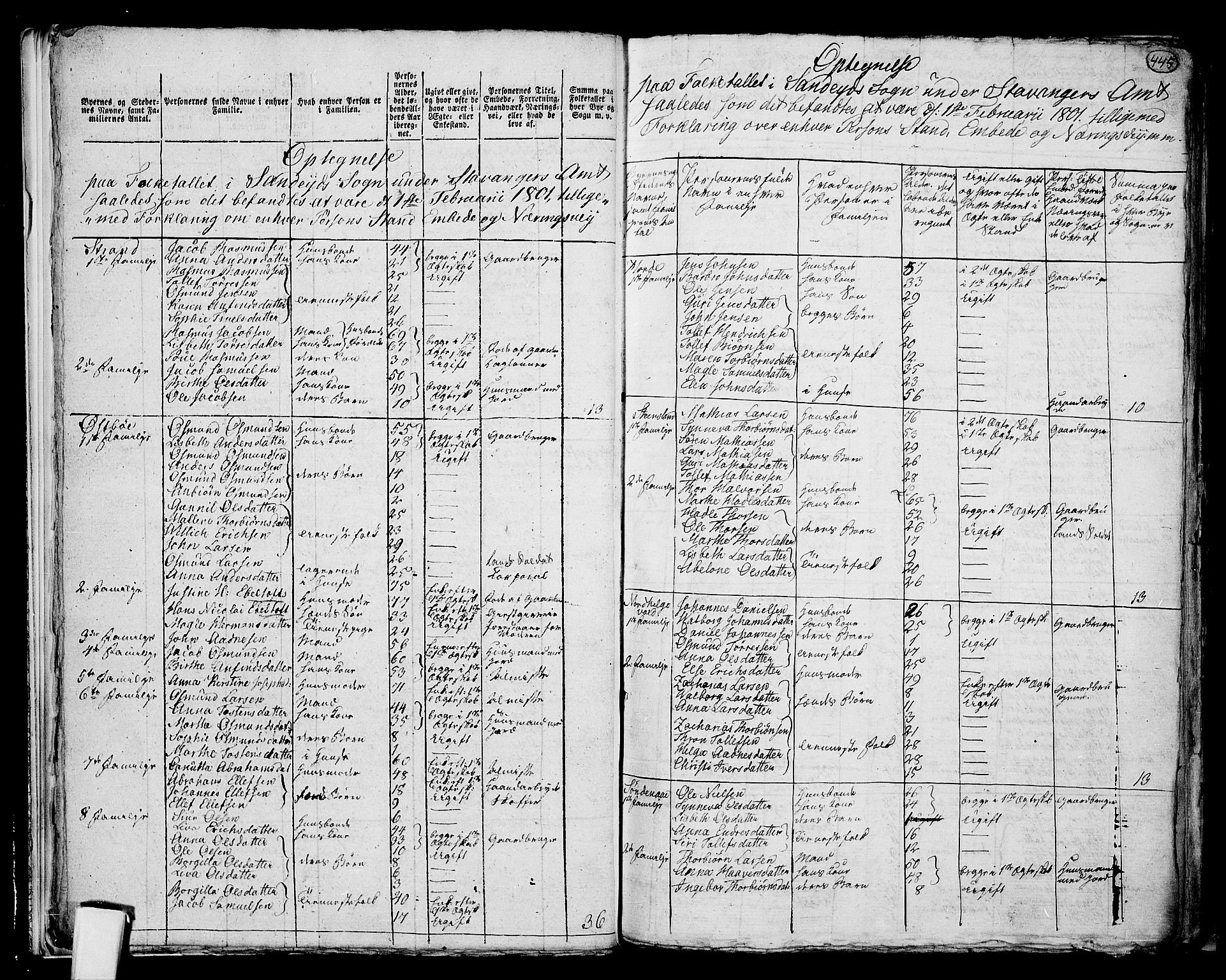 RA, 1801 census for 1157P Vikedal, 1801, p. 444b-445a