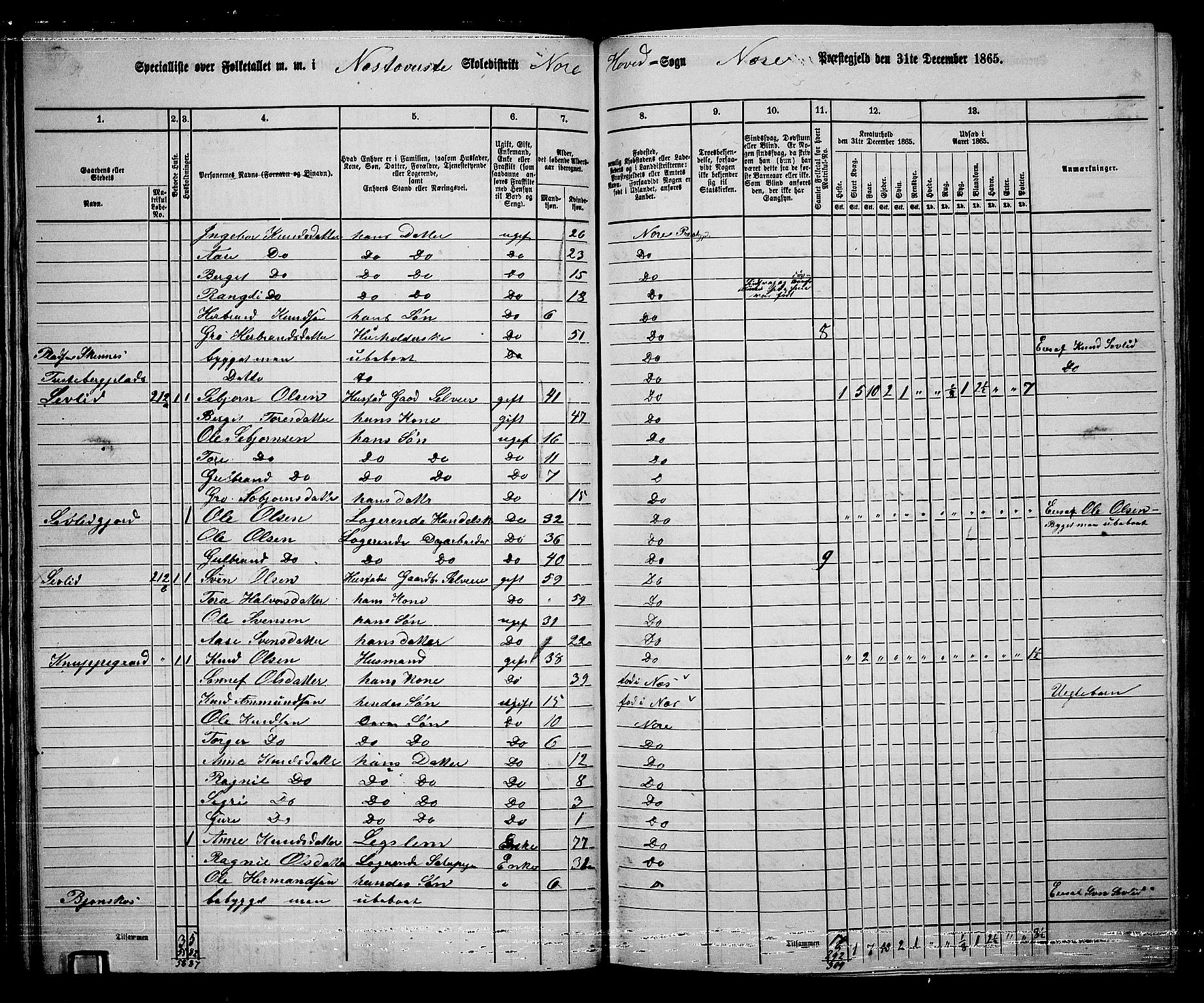 RA, 1865 census for Nore, 1865, p. 60