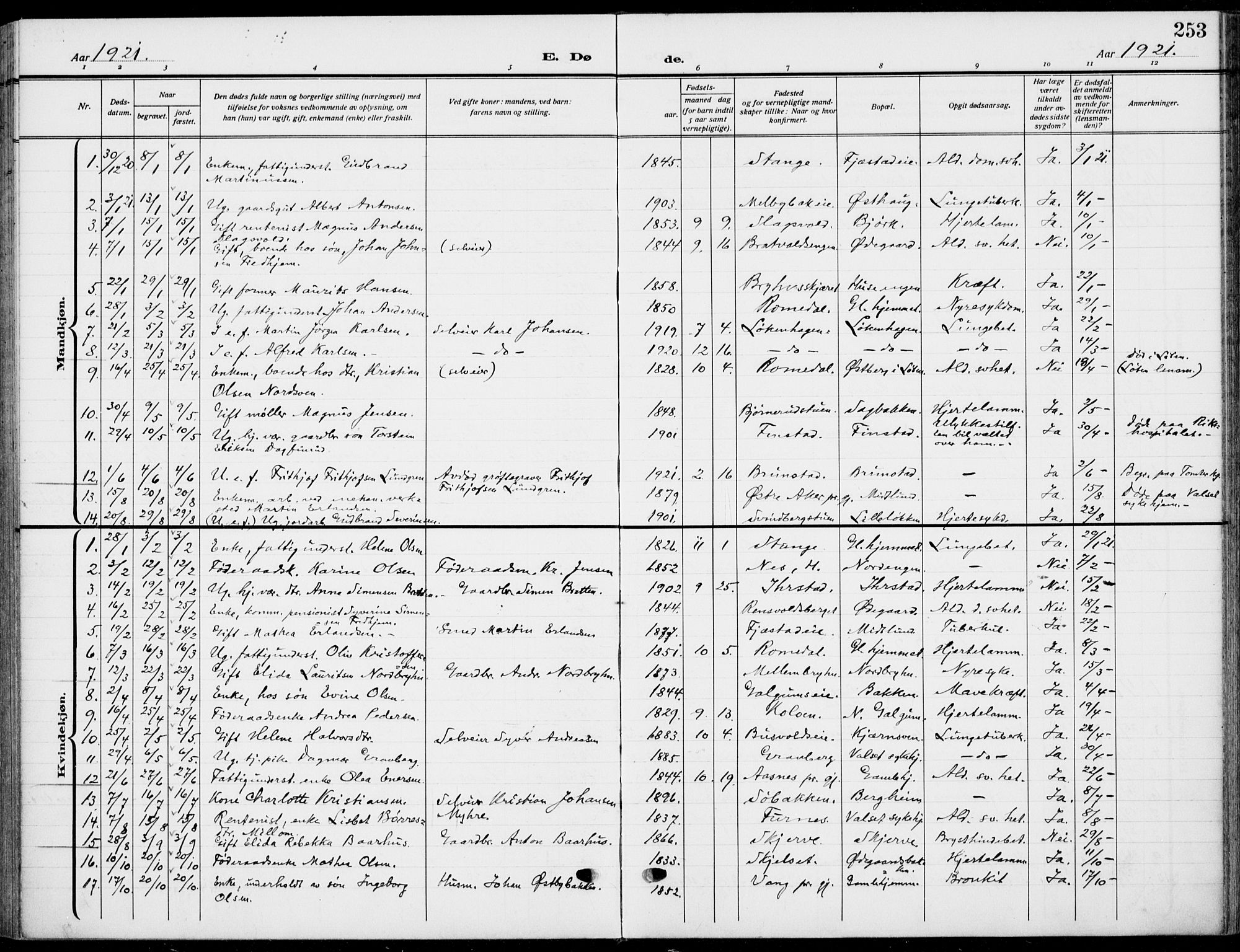 Romedal prestekontor, SAH/PREST-004/K/L0012: Parish register (official) no. 12, 1913-1935, p. 253