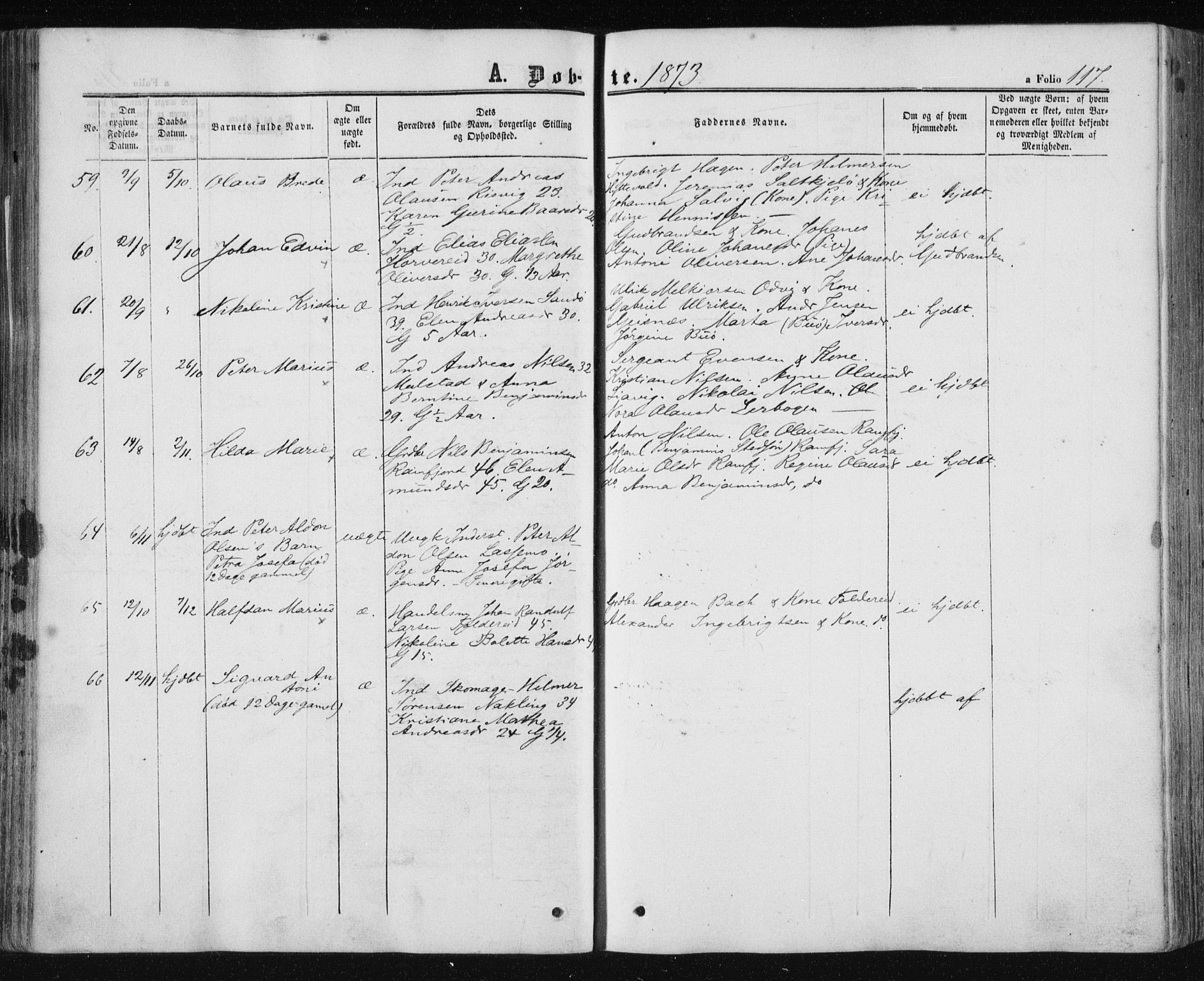 Ministerialprotokoller, klokkerbøker og fødselsregistre - Nord-Trøndelag, SAT/A-1458/780/L0641: Parish register (official) no. 780A06, 1857-1874, p. 117