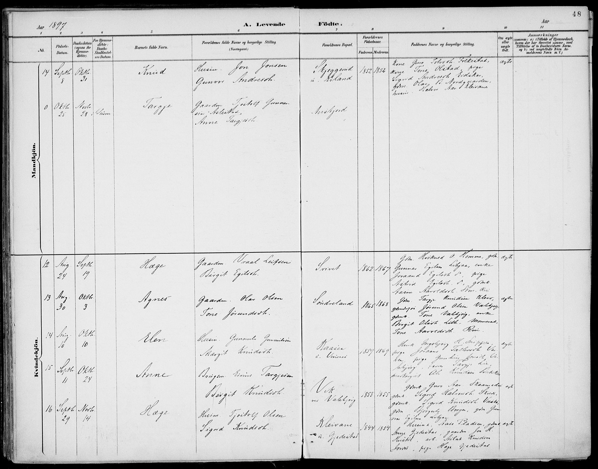 Fyresdal kirkebøker, AV/SAKO-A-263/F/Fa/L0007: Parish register (official) no. I 7, 1887-1914, p. 48