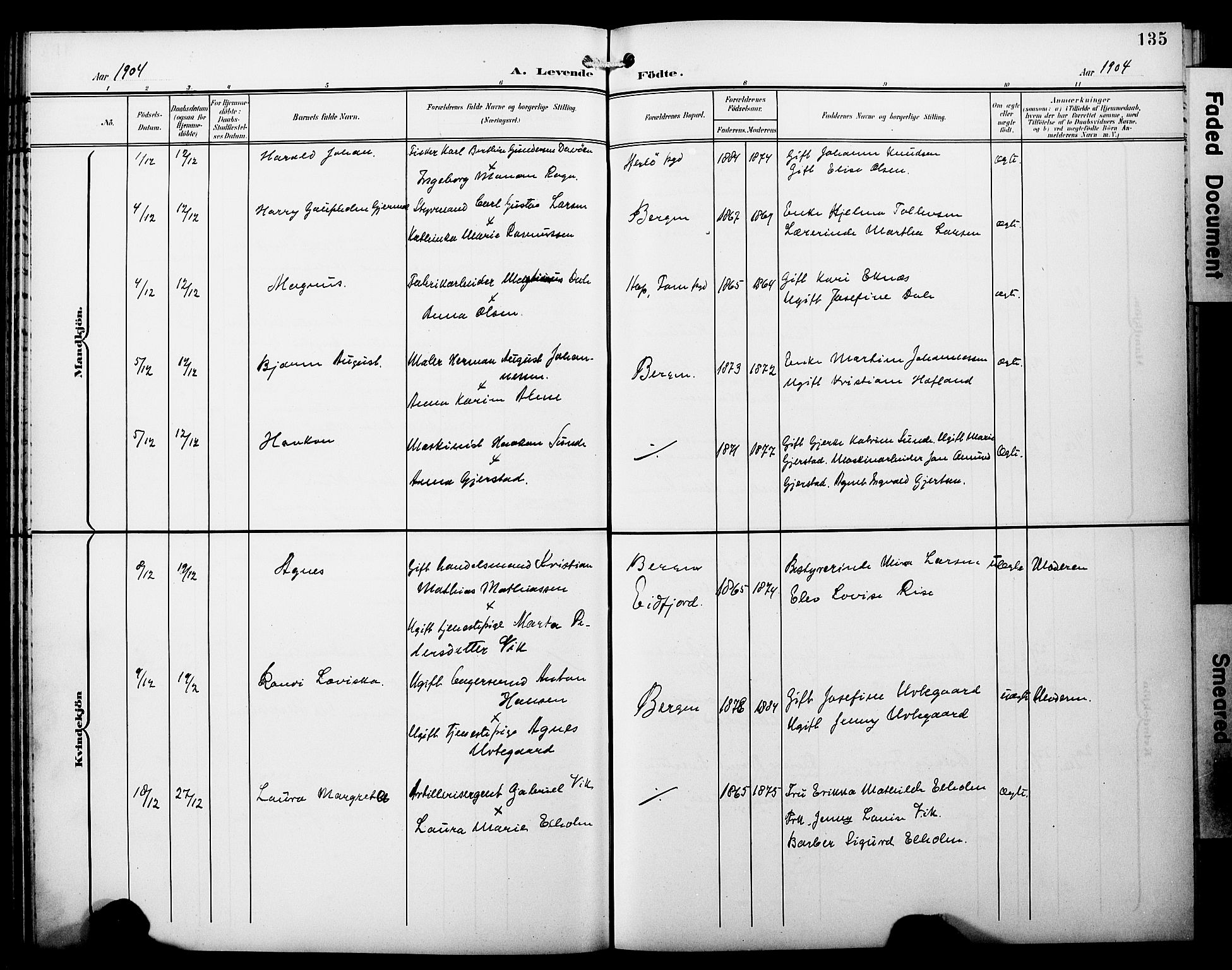 Fødselsstiftelsens sokneprestembete*, SAB/-: Parish register (copy) no. A 1, 1900-1909, p. 135