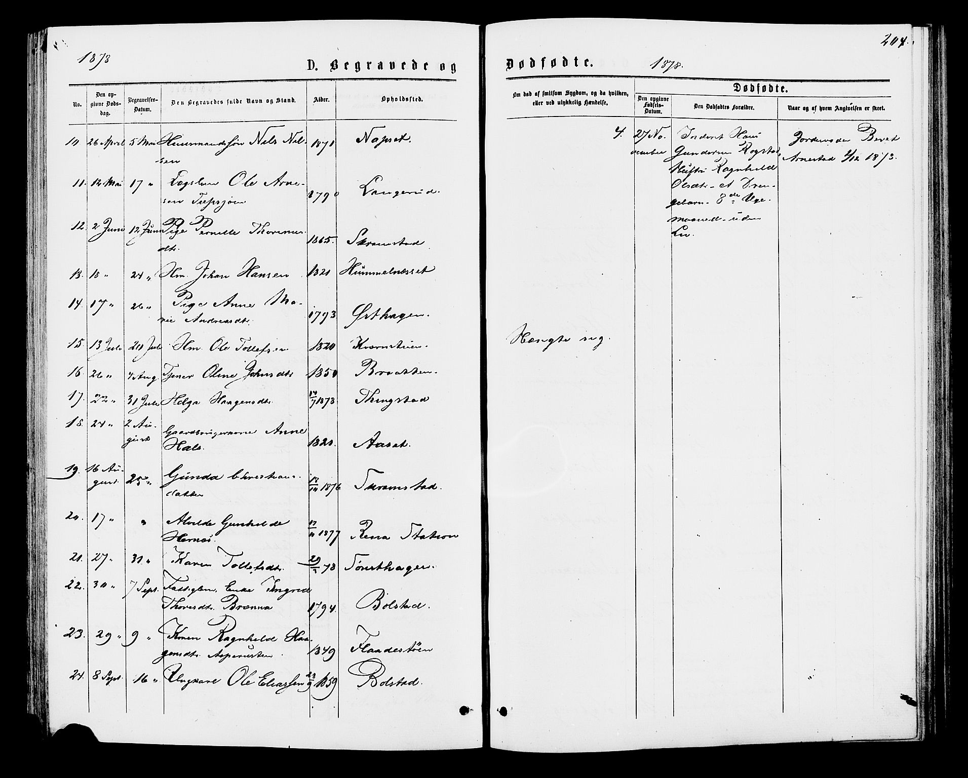 Åmot prestekontor, Hedmark, SAH/PREST-056/H/Ha/Haa/L0009: Parish register (official) no. 9, 1875-1883, p. 204