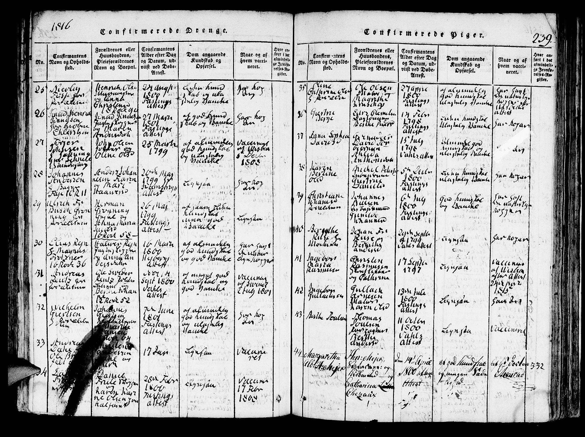 Domkirken sokneprestembete, AV/SAB-A-74801/H/Hab/L0001: Parish register (copy) no. A 1, 1816-1821, p. 239