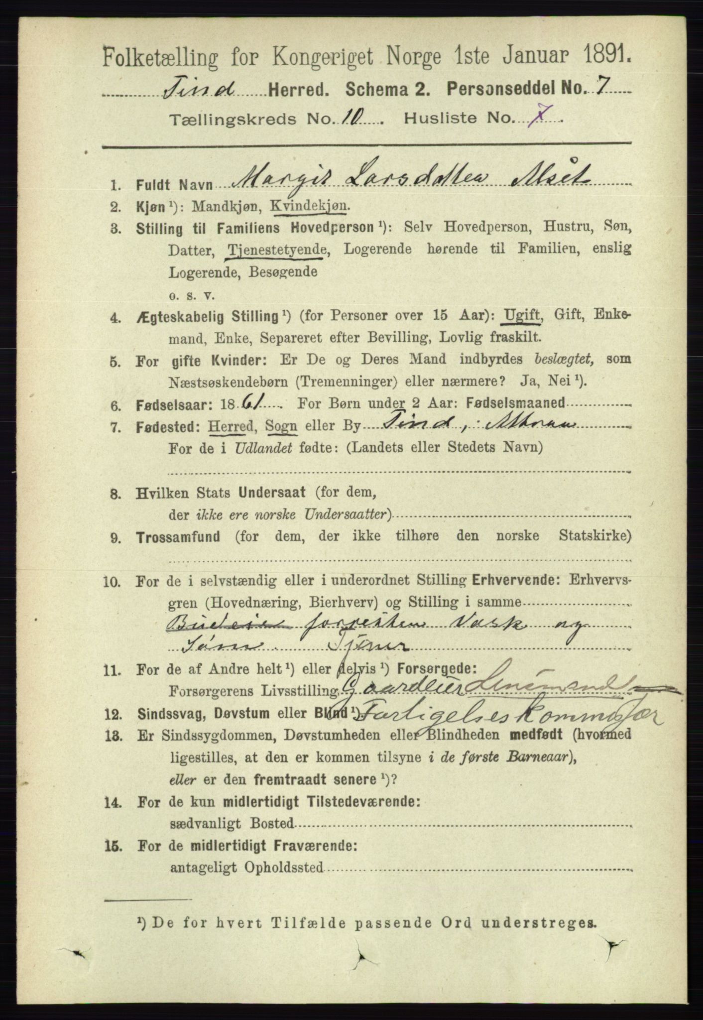 RA, 1891 census for 0826 Tinn, 1891, p. 2013