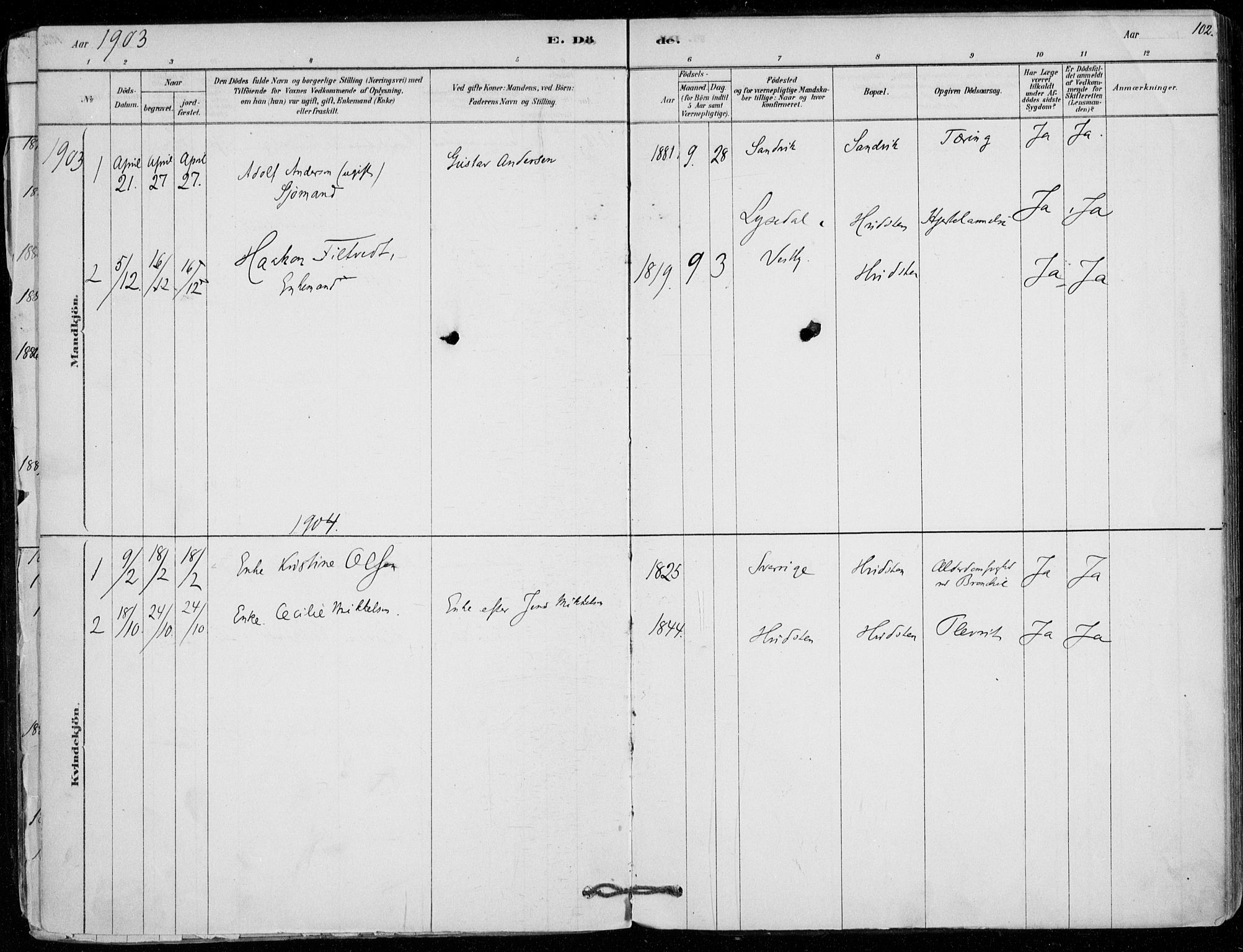 Vestby prestekontor Kirkebøker, AV/SAO-A-10893/F/Fd/L0001: Parish register (official) no. IV 1, 1878-1945, p. 102