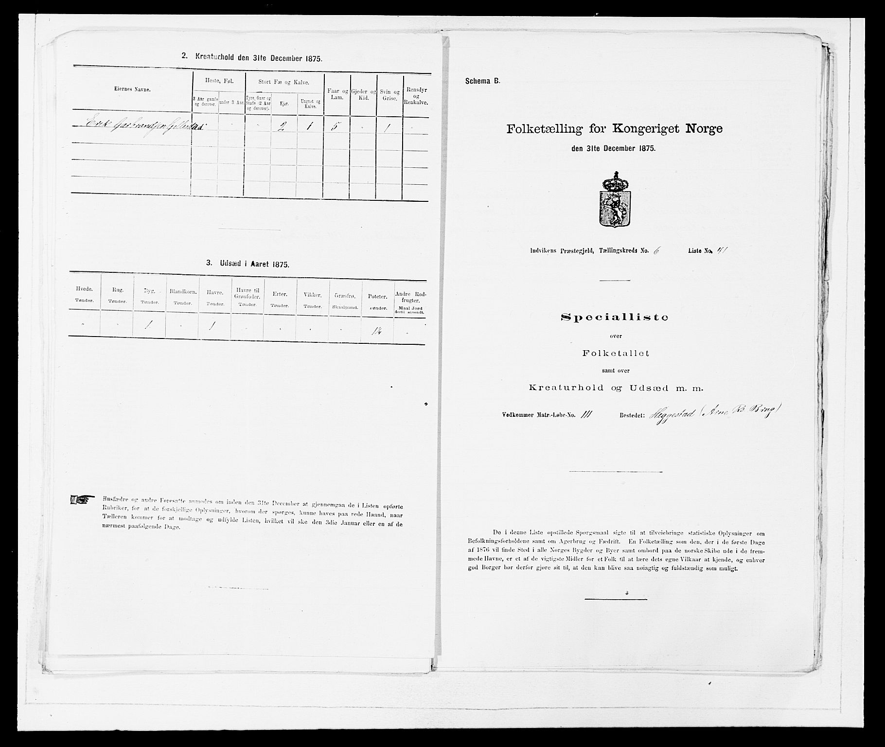 SAB, 1875 Census for 1447P Innvik, 1875, p. 694