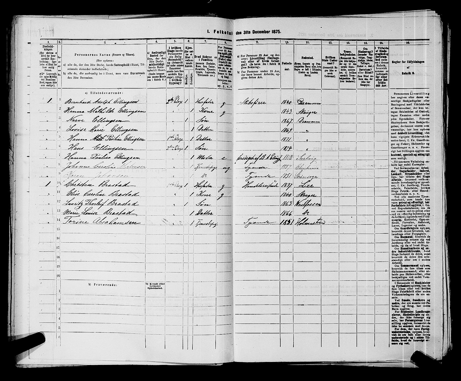 SAKO, 1875 census for 0602 Drammen, 1875, p. 349