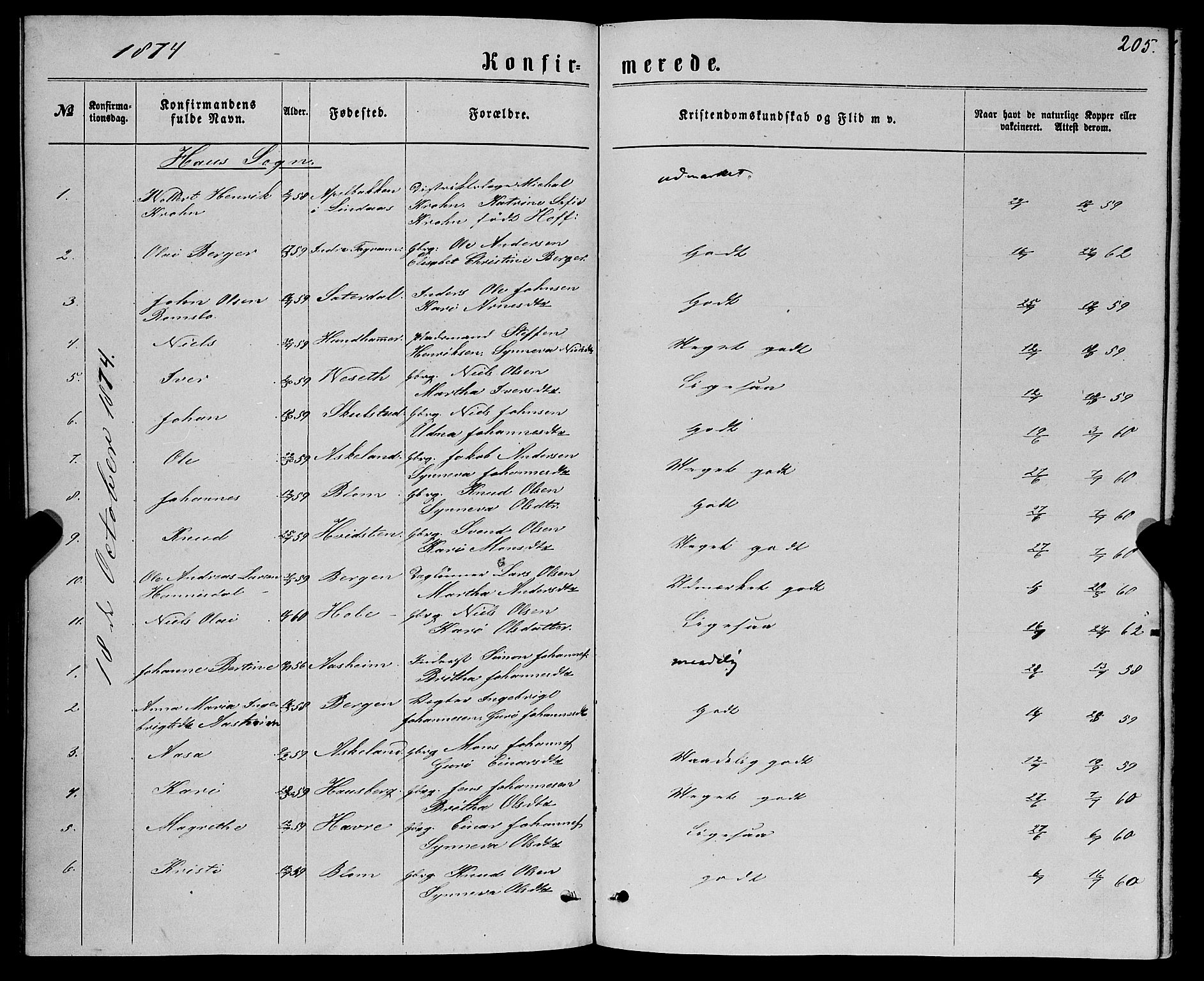 Haus sokneprestembete, SAB/A-75601/H/Haa: Parish register (official) no. A 18, 1871-1877, p. 205