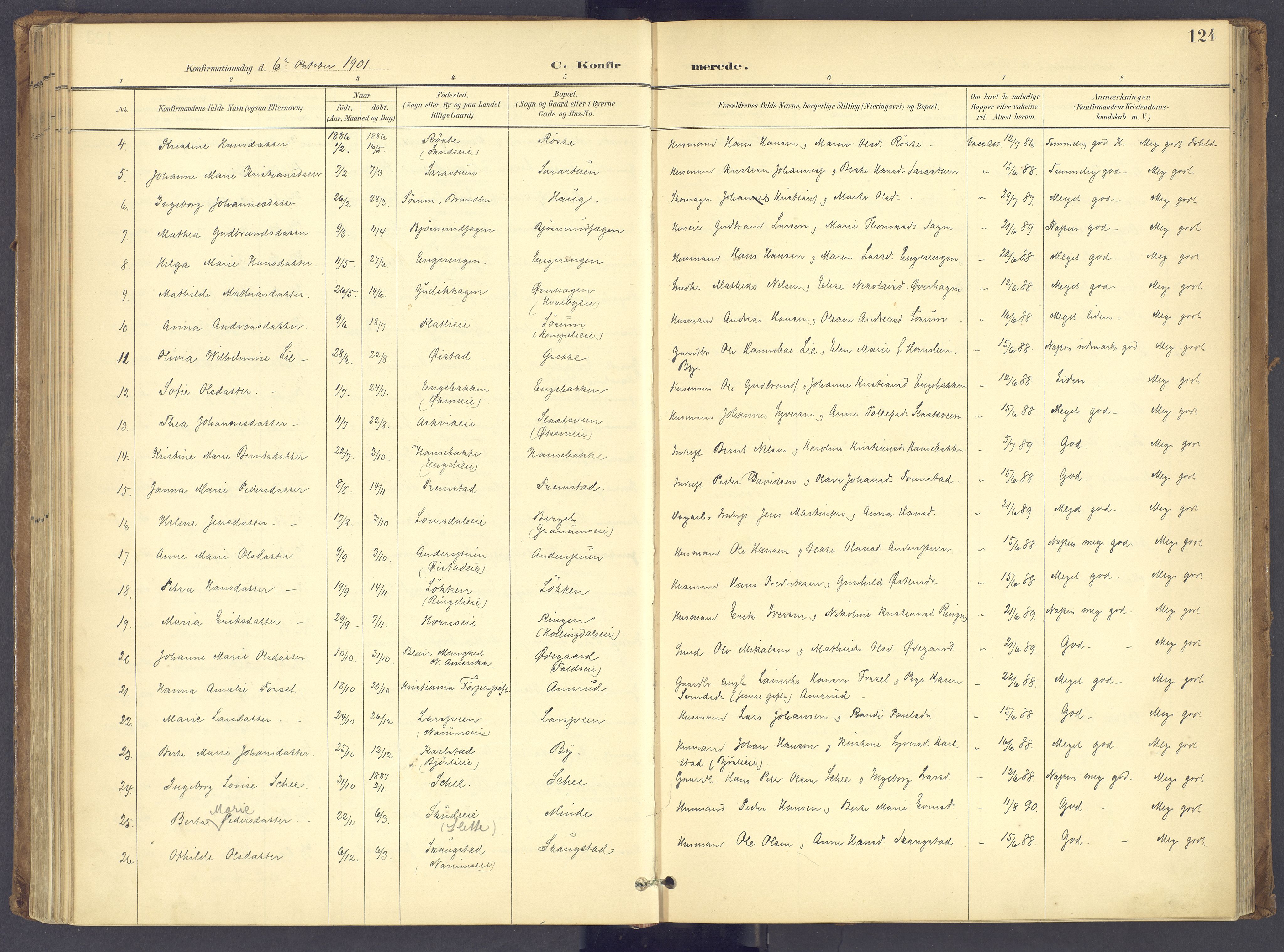 Søndre Land prestekontor, SAH/PREST-122/K/L0006: Parish register (official) no. 6, 1895-1904, p. 124