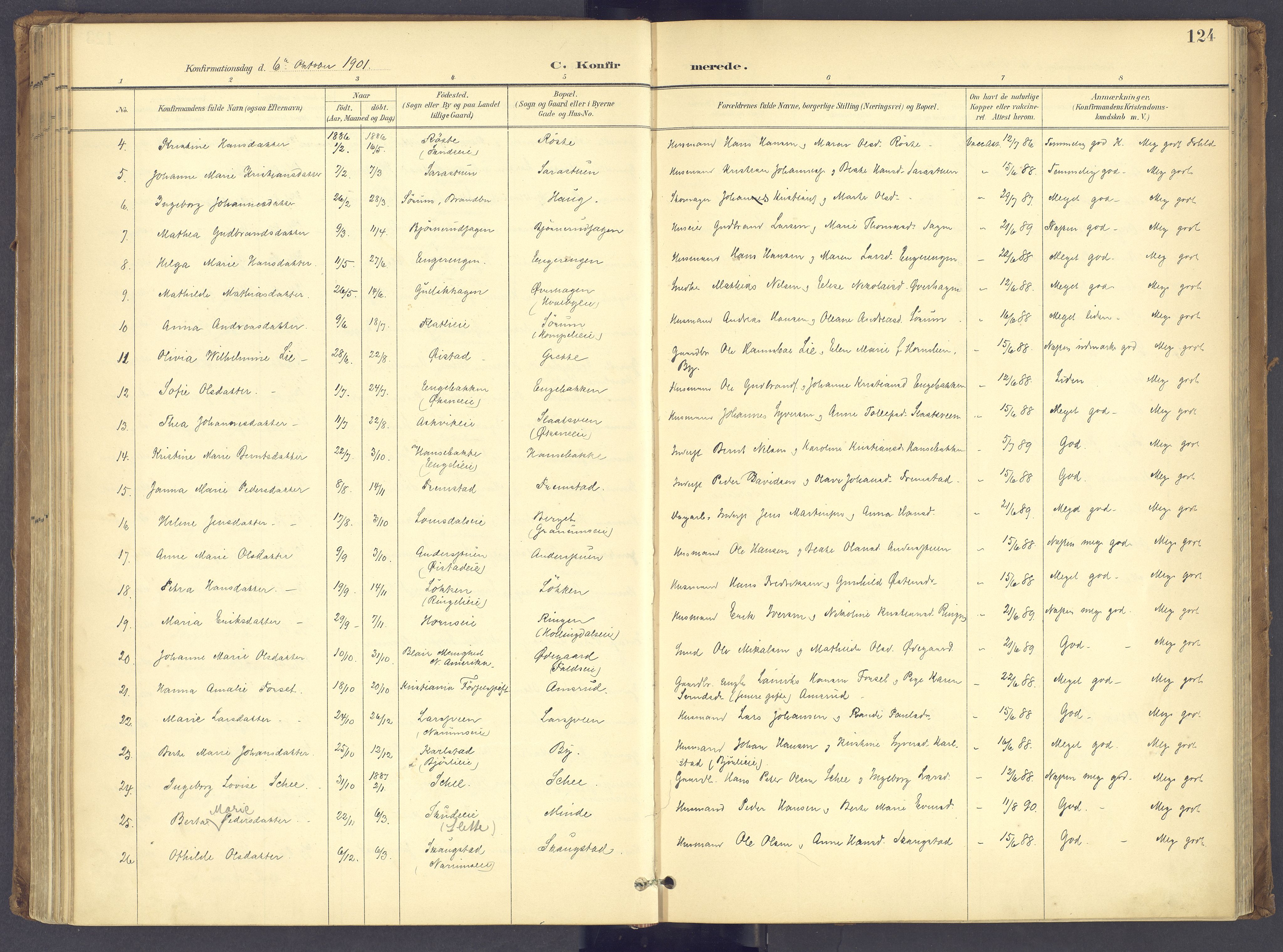 Søndre Land prestekontor, AV/SAH-PREST-122/K/L0006: Parish register (official) no. 6, 1895-1904, p. 124