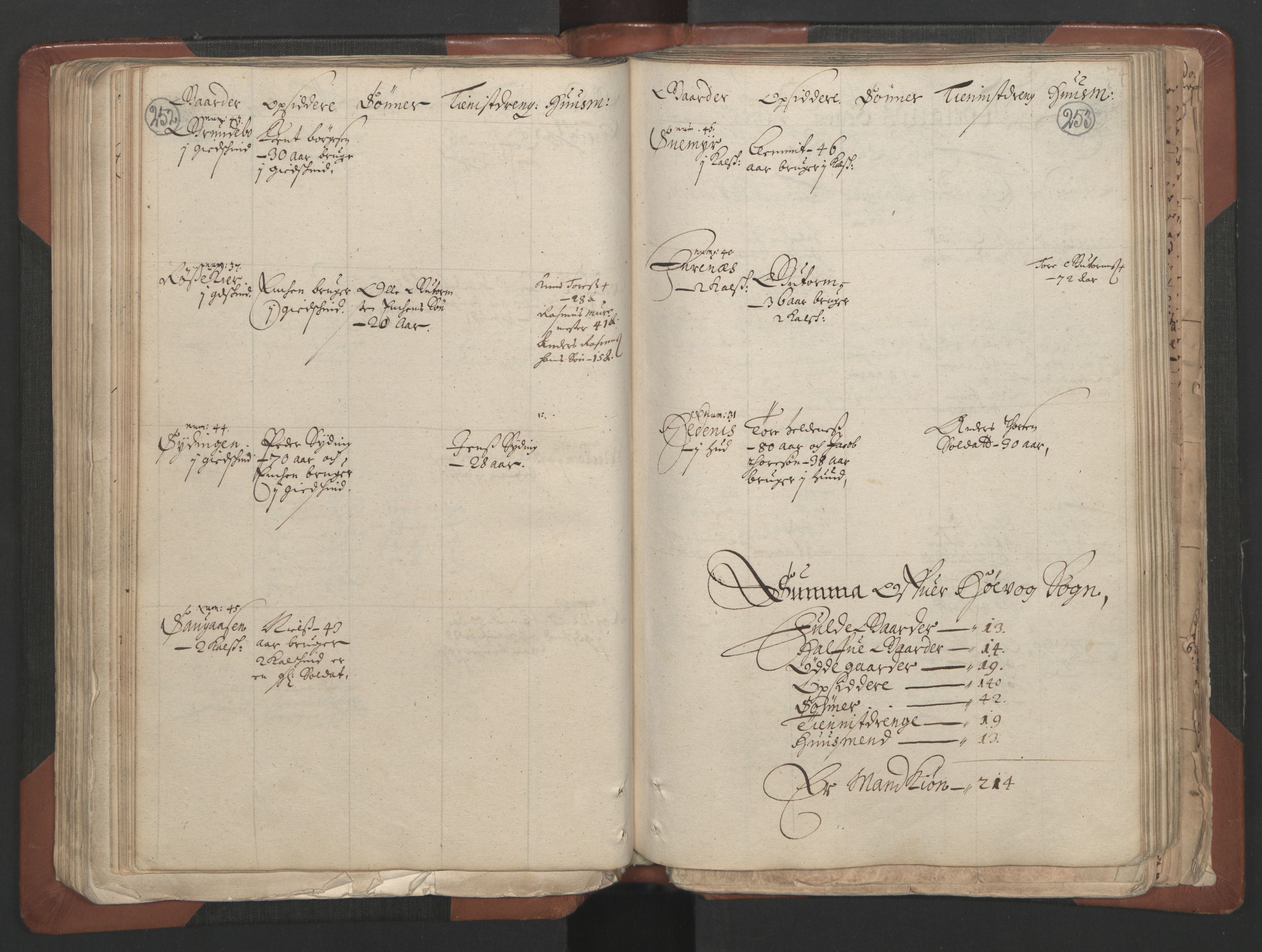 RA, Bailiff's Census 1664-1666, no. 7: Nedenes fogderi, 1664-1666, p. 252-253