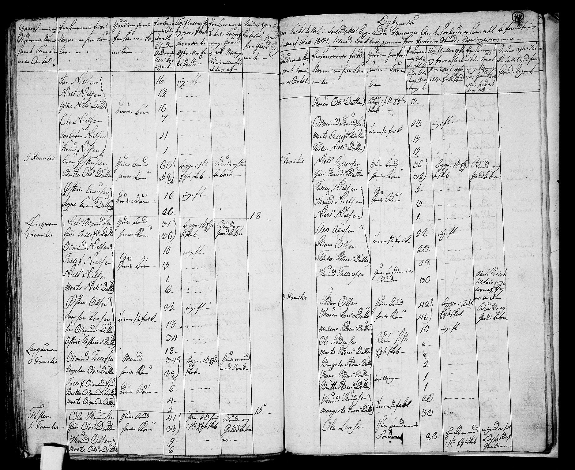 RA, 1801 census for 1134P Suldal, 1801, p. 410b-411a