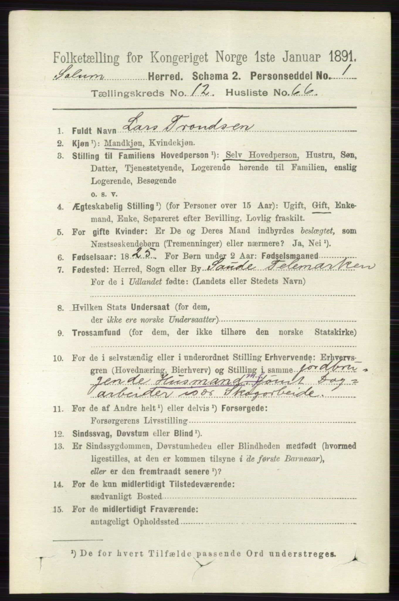 RA, 1891 census for 0818 Solum, 1891, p. 5991