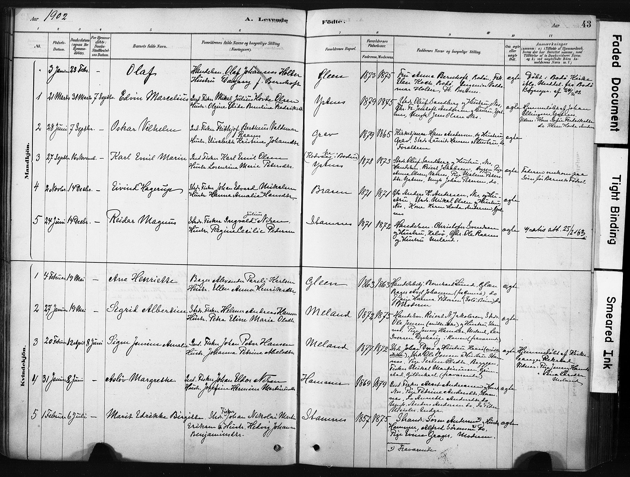 Ministerialprotokoller, klokkerbøker og fødselsregistre - Nordland, AV/SAT-A-1459/808/L0128: Parish register (official) no. 808A01, 1880-1902, p. 43