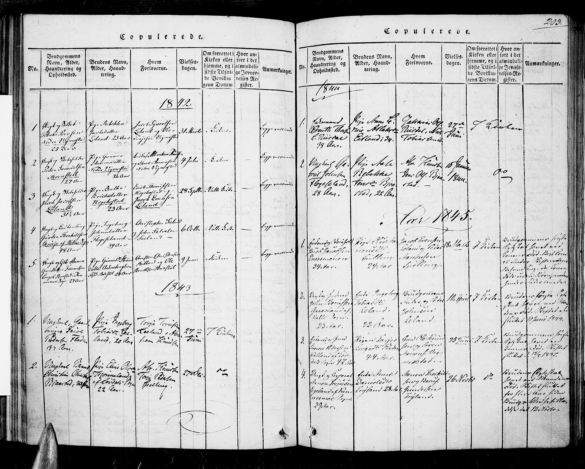 Nord-Audnedal sokneprestkontor, AV/SAK-1111-0032/F/Fa/Fab/L0001: Parish register (official) no. A 1, 1816-1858, p. 203