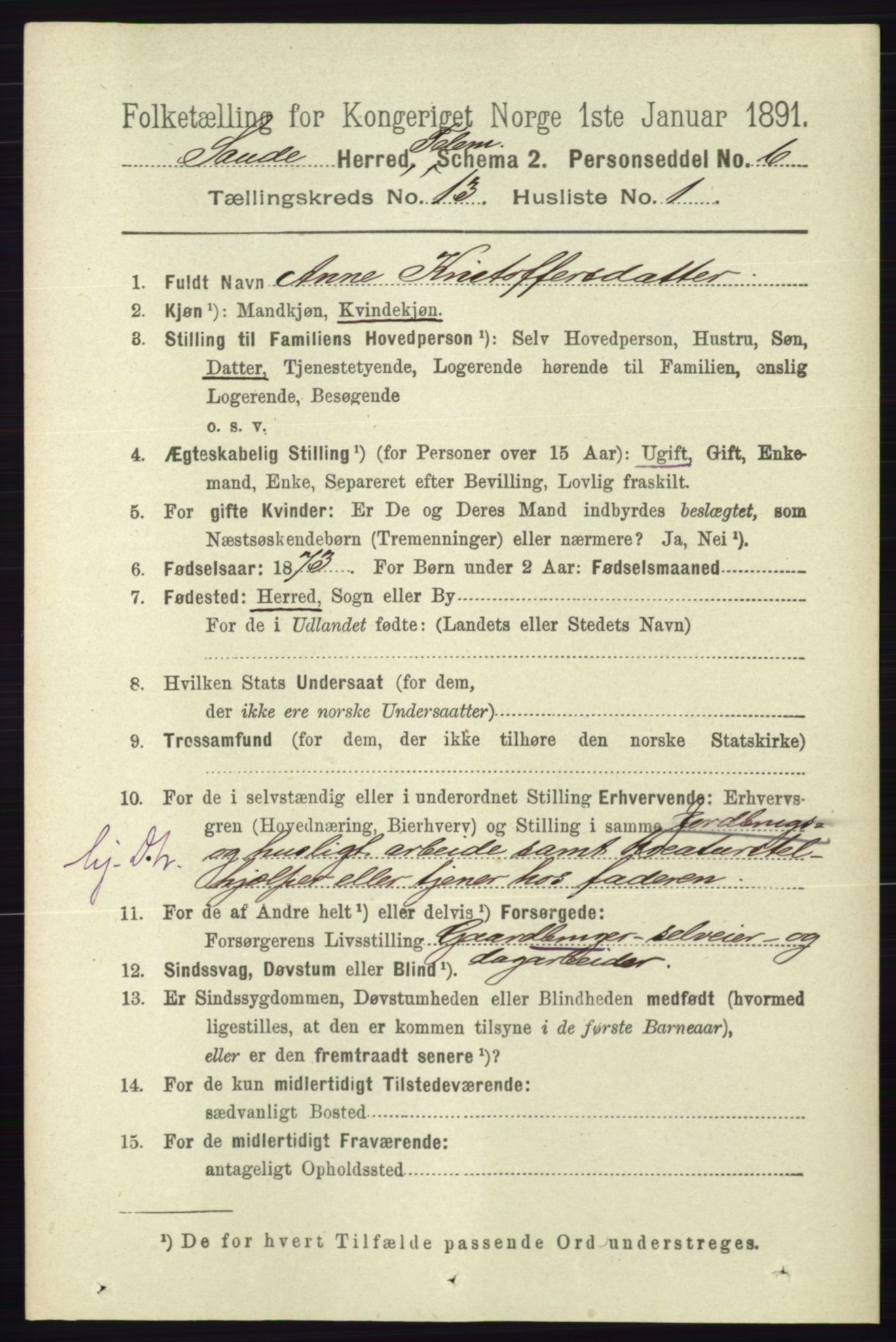 RA, 1891 census for 0822 Sauherad, 1891, p. 3910