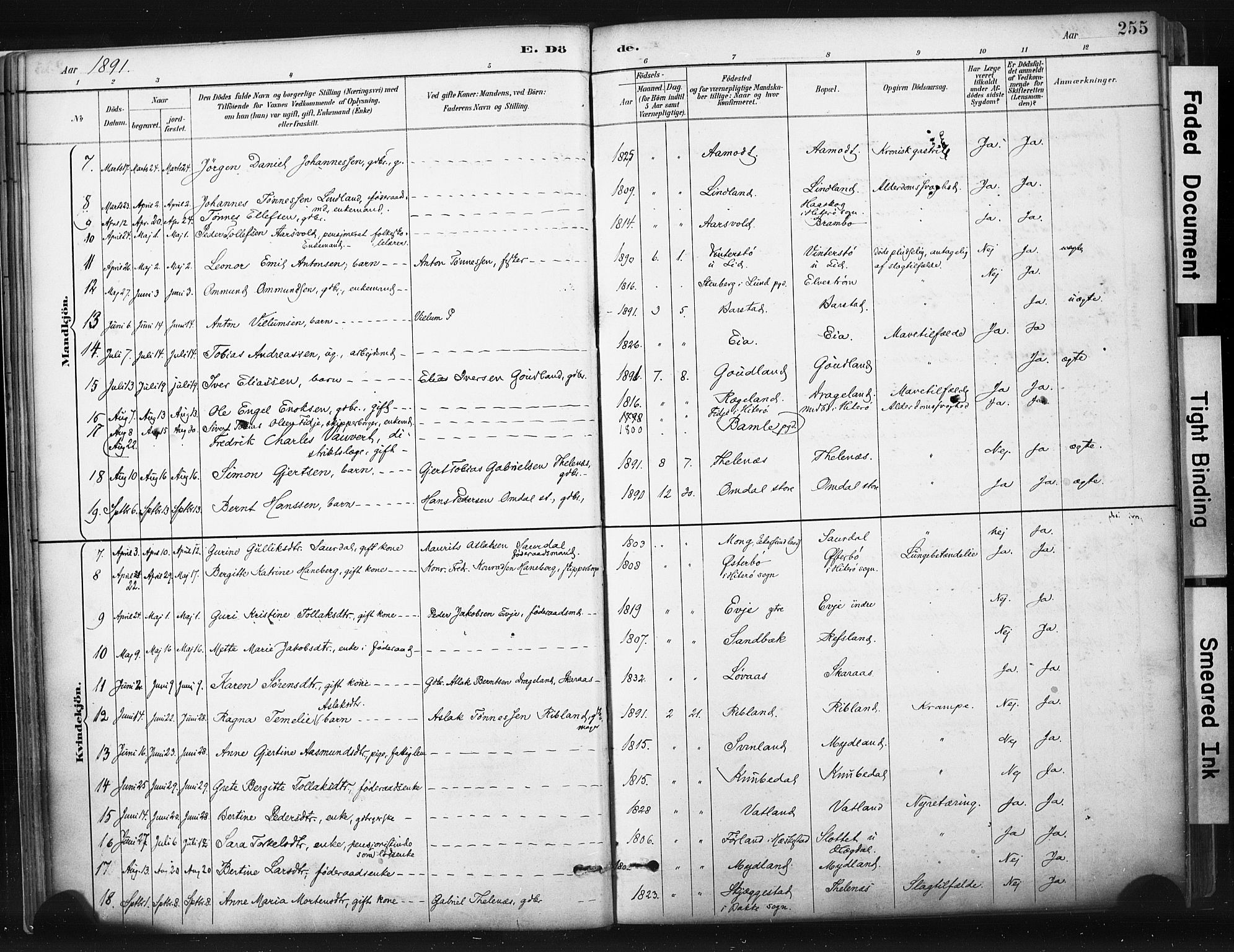 Sokndal sokneprestkontor, AV/SAST-A-101808: Parish register (official) no. A 11.2, 1887-1905, p. 255