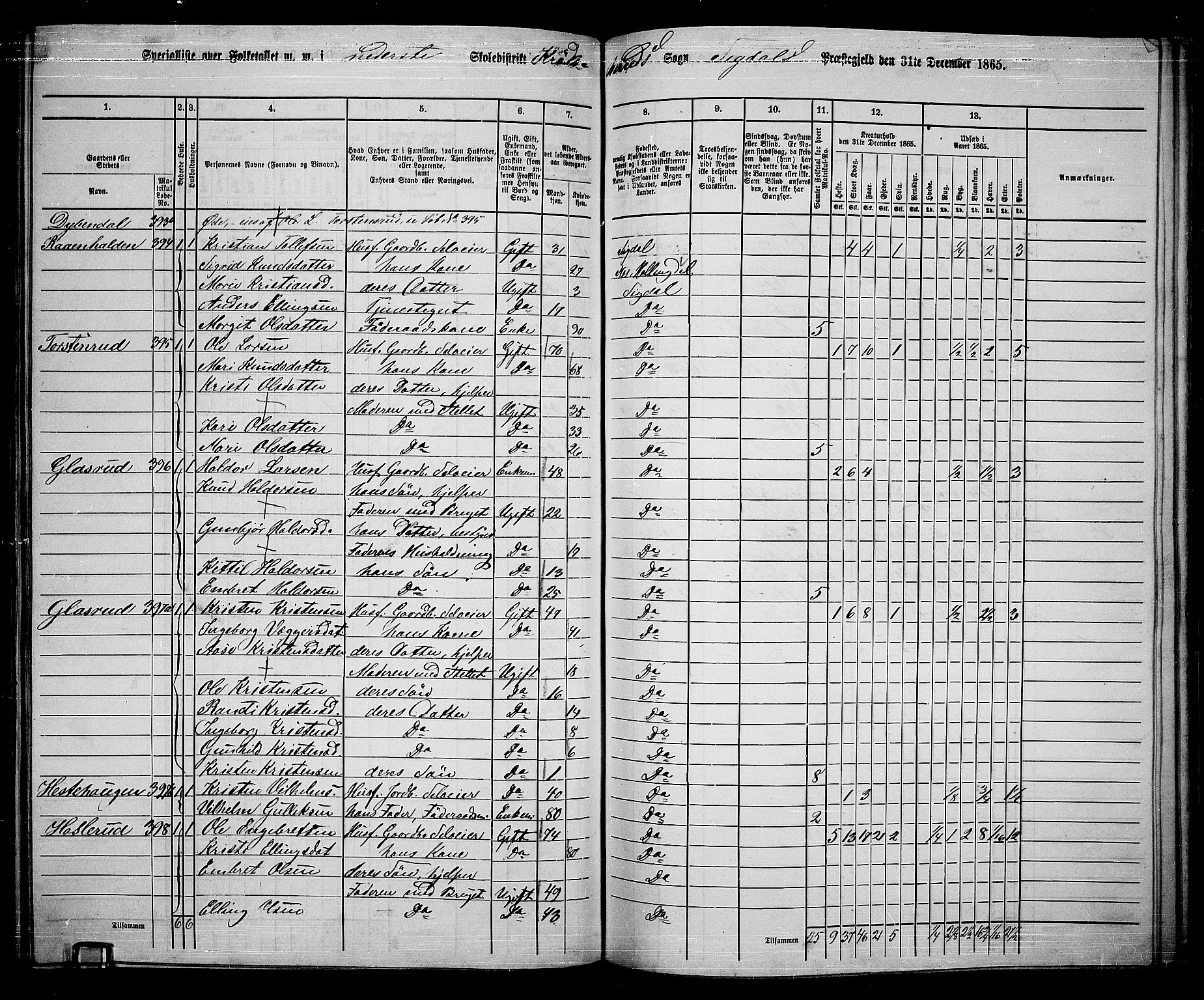 RA, 1865 census for Sigdal, 1865, p. 212