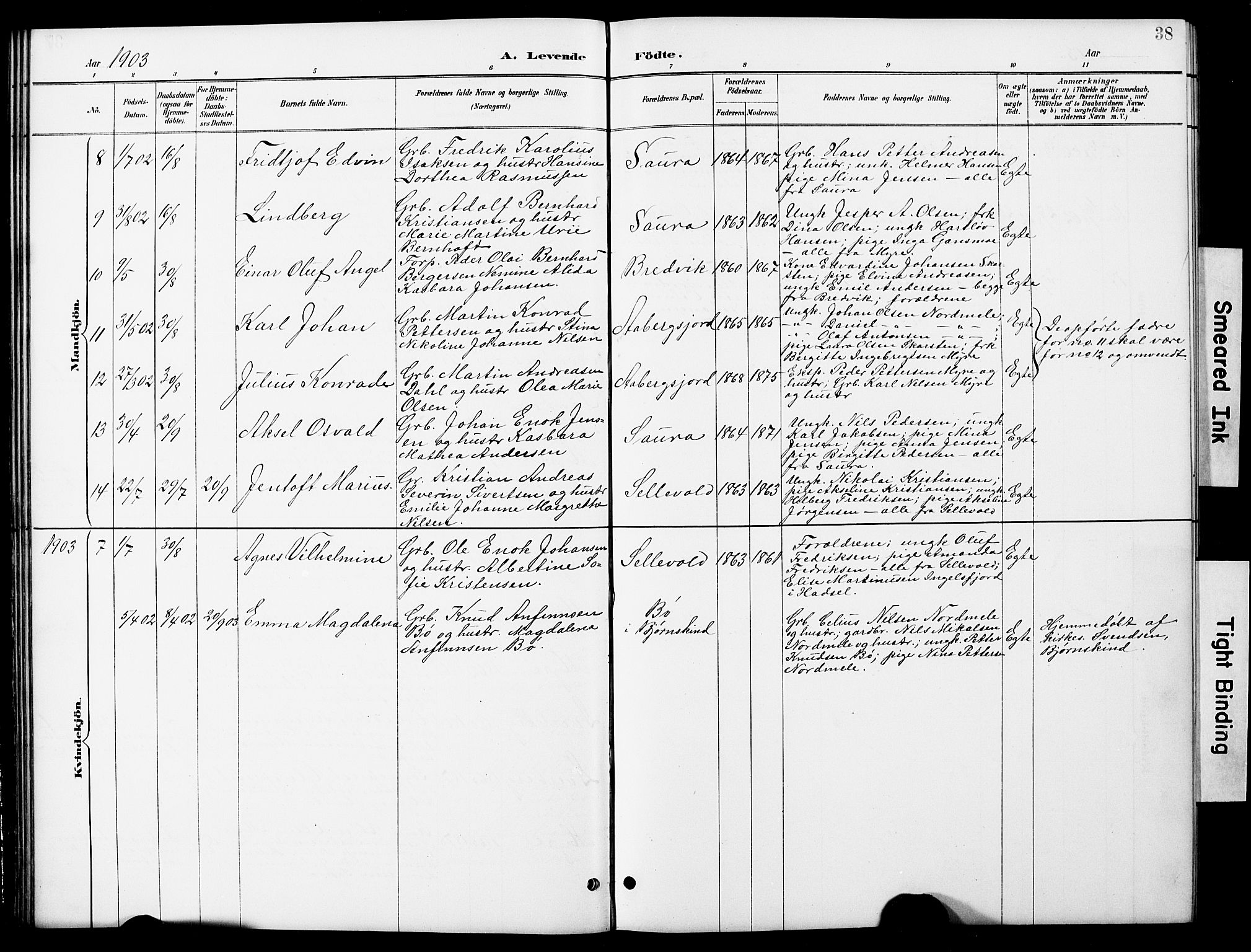 Ministerialprotokoller, klokkerbøker og fødselsregistre - Nordland, SAT/A-1459/897/L1413: Parish register (copy) no. 897C03, 1887-1903, p. 38