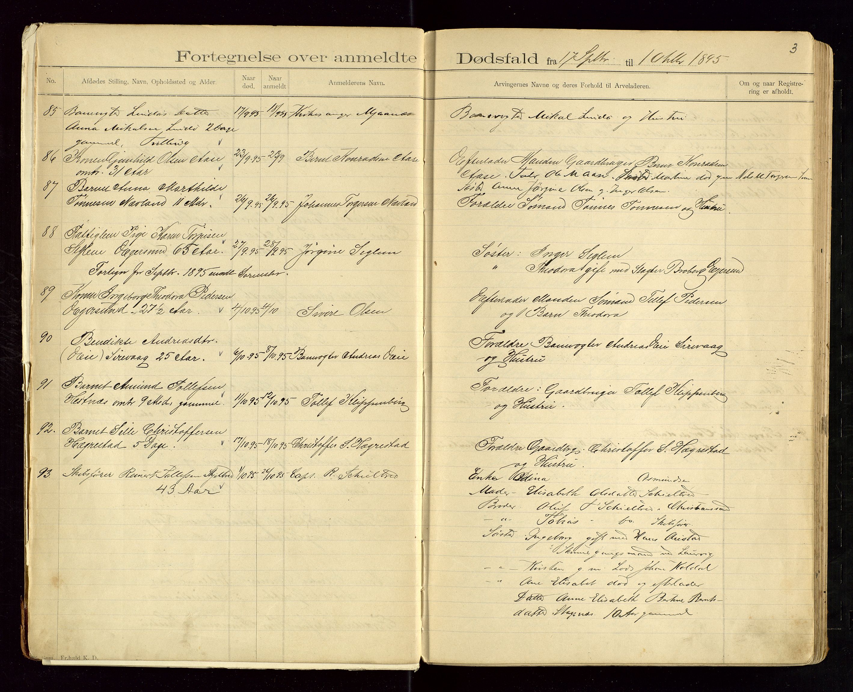 Eigersund lensmannskontor, AV/SAST-A-100171/Gga/L0004: "Dødsfalds-Protokol" m/alfabetisk navneregister, 1895-1905, p. 3