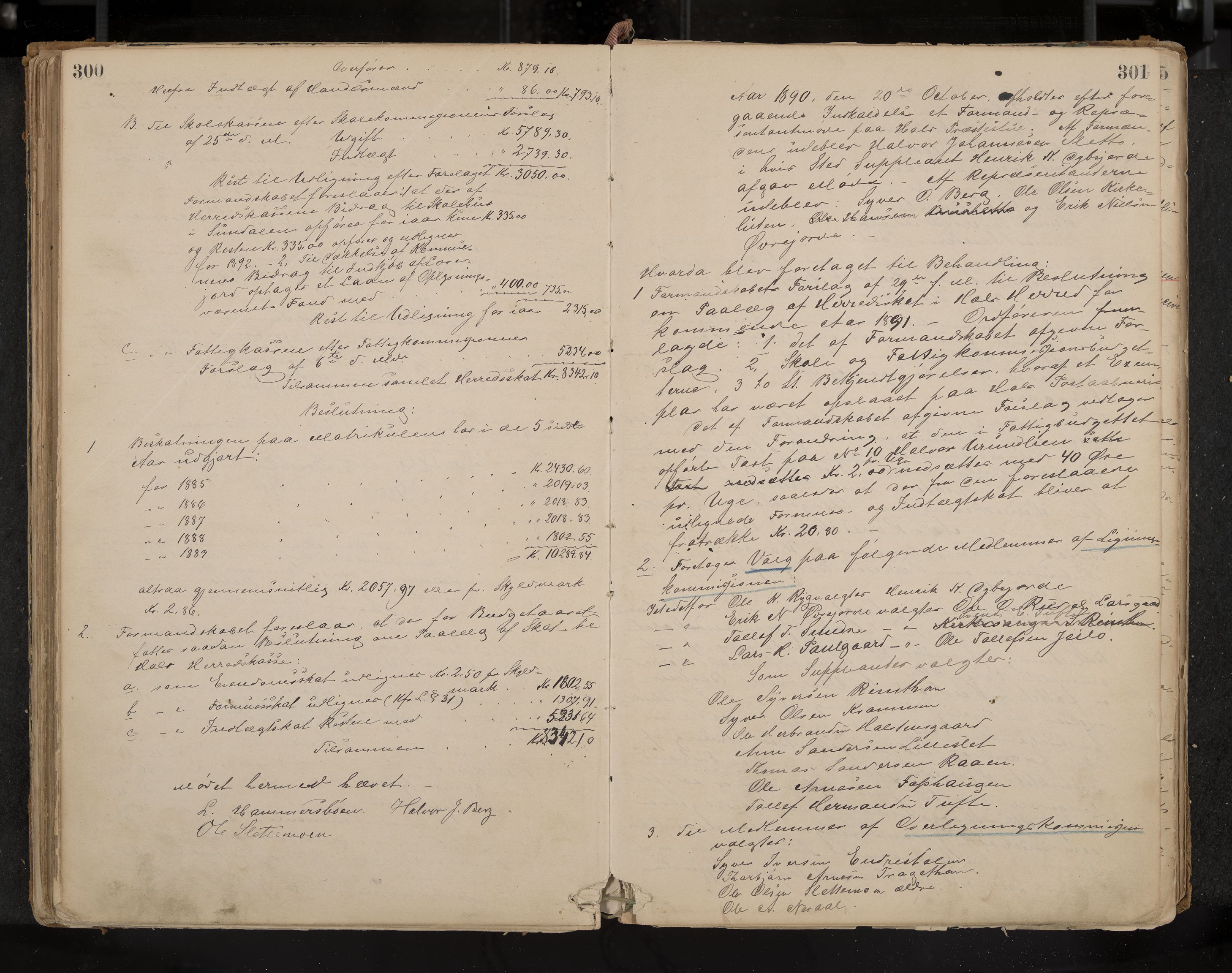 Hol formannskap og sentraladministrasjon, IKAK/0620021-1/A/L0001: Møtebok, 1877-1893, p. 300-301