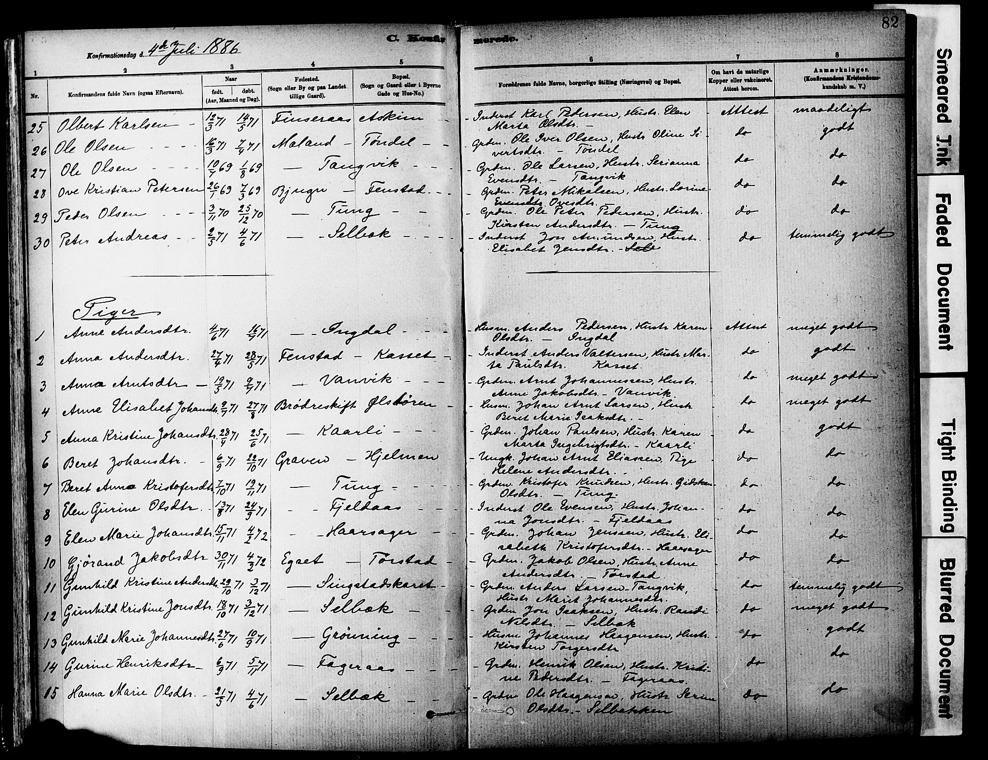 Ministerialprotokoller, klokkerbøker og fødselsregistre - Sør-Trøndelag, SAT/A-1456/646/L0615: Parish register (official) no. 646A13, 1885-1900, p. 82