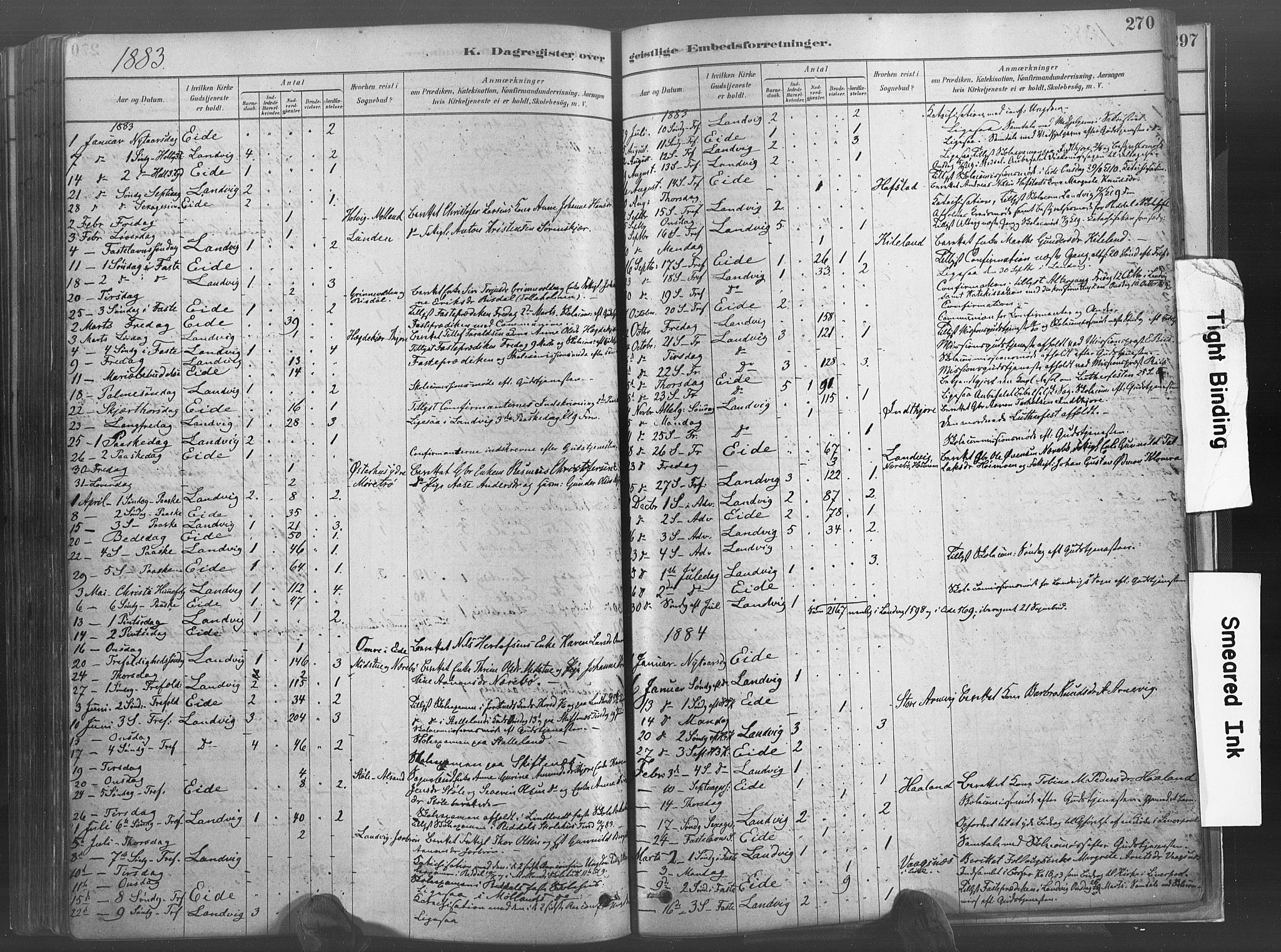 Hommedal sokneprestkontor, AV/SAK-1111-0023/F/Fa/Fab/L0006: Parish register (official) no. A 6, 1878-1897, p. 270