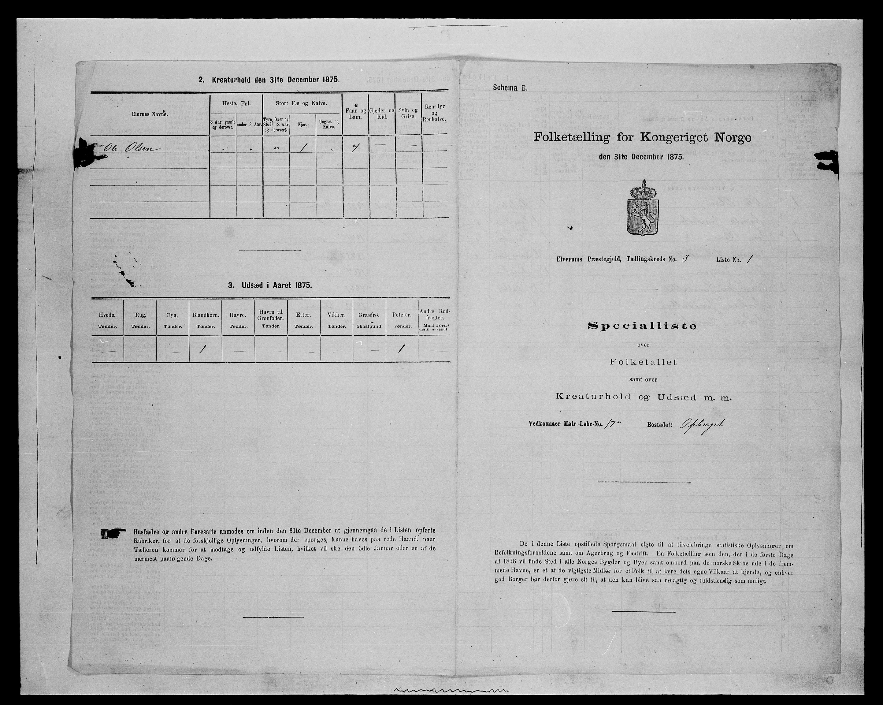 SAH, 1875 census for 0427P Elverum, 1875, p. 814