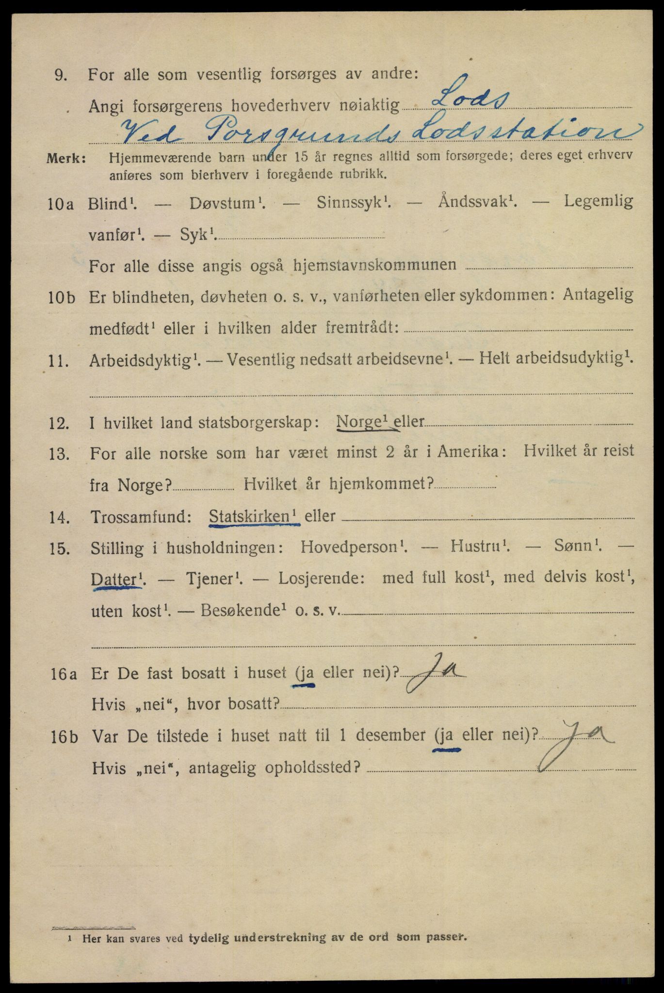 SAKO, 1920 census for Porsgrunn, 1920, p. 17394