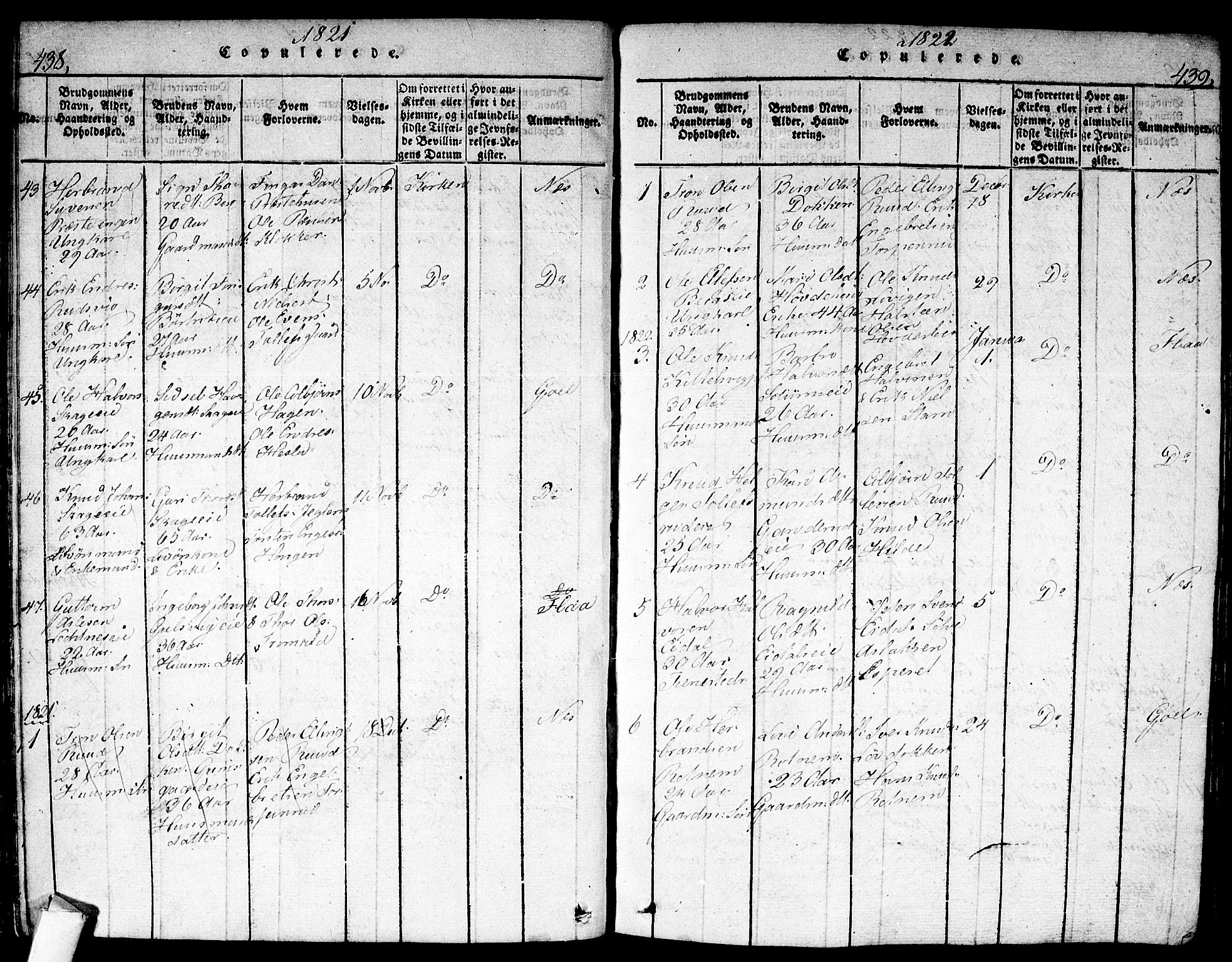 Nes kirkebøker, AV/SAKO-A-236/F/Fa/L0007: Parish register (official) no. 7, 1815-1823, p. 438-439