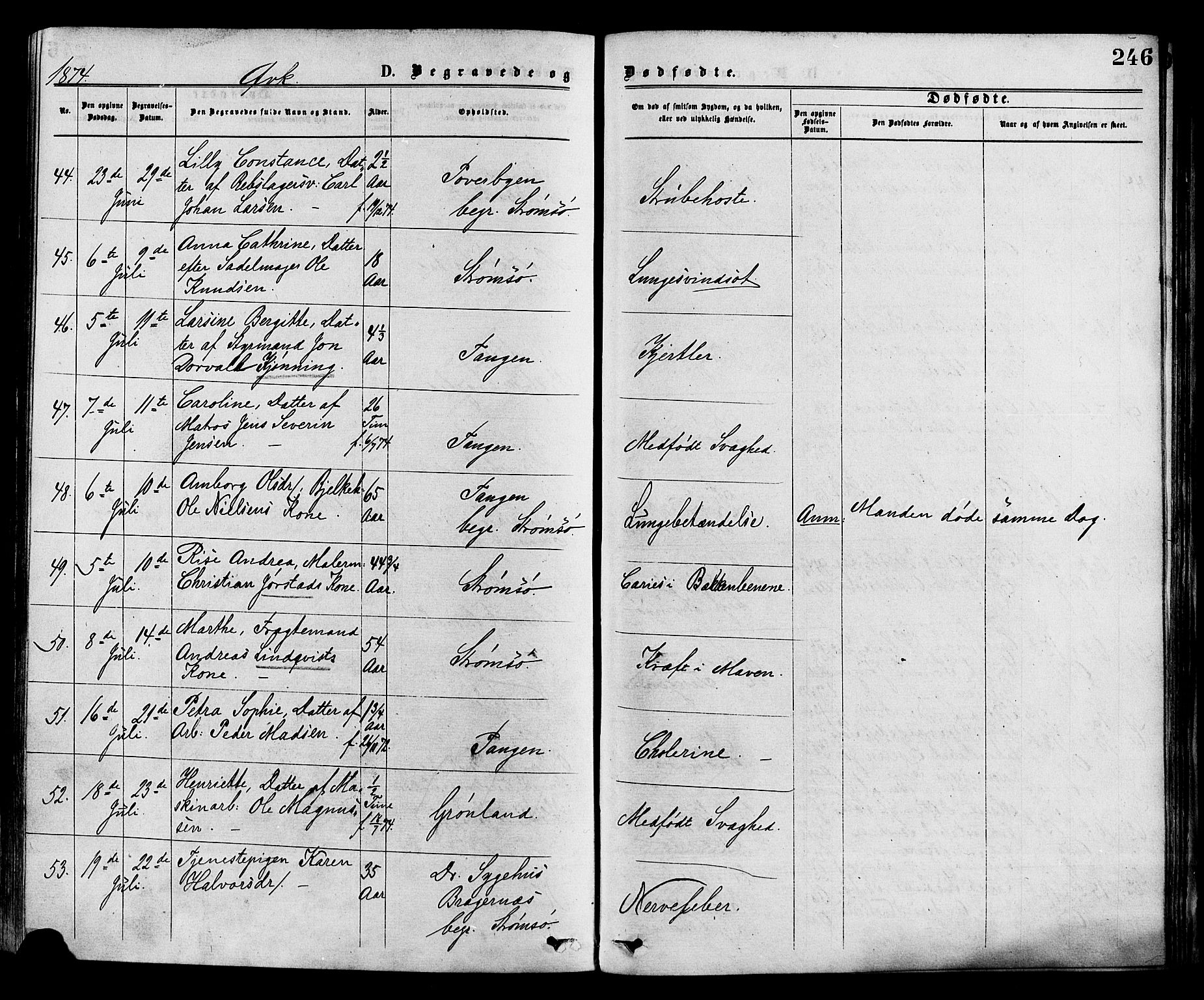 Strømsø kirkebøker, AV/SAKO-A-246/F/Fa/L0019: Parish register (official) no. I 19, 1874-1877, p. 246