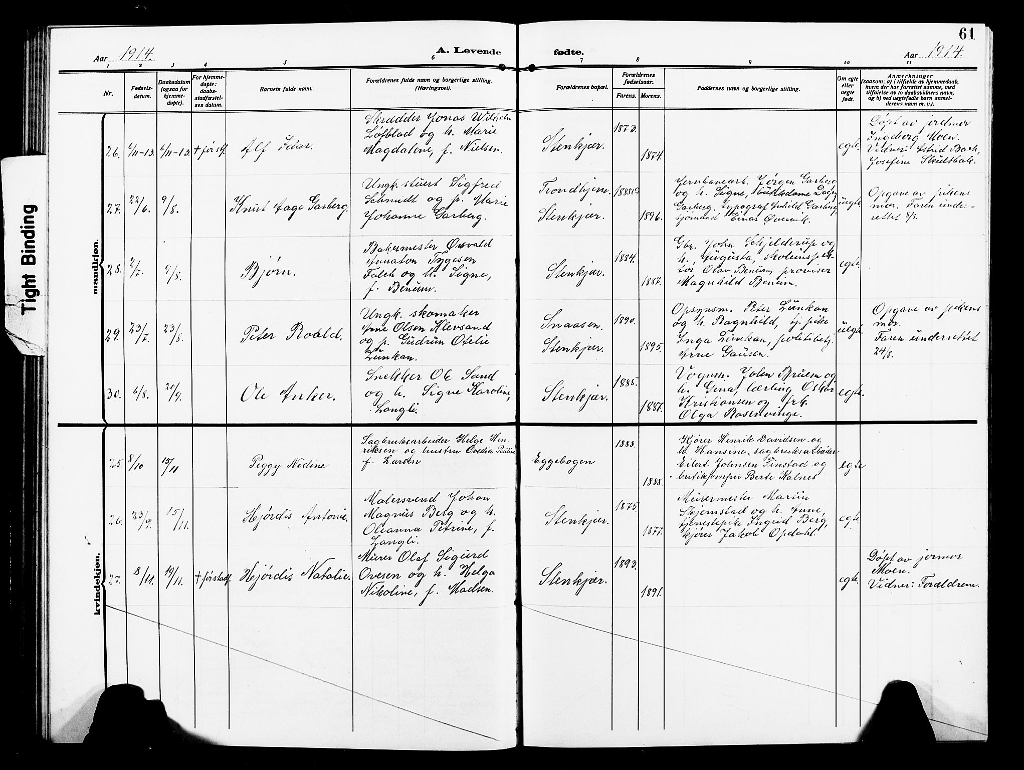 Ministerialprotokoller, klokkerbøker og fødselsregistre - Nord-Trøndelag, AV/SAT-A-1458/739/L0376: Parish register (copy) no. 739C04, 1908-1917, p. 61