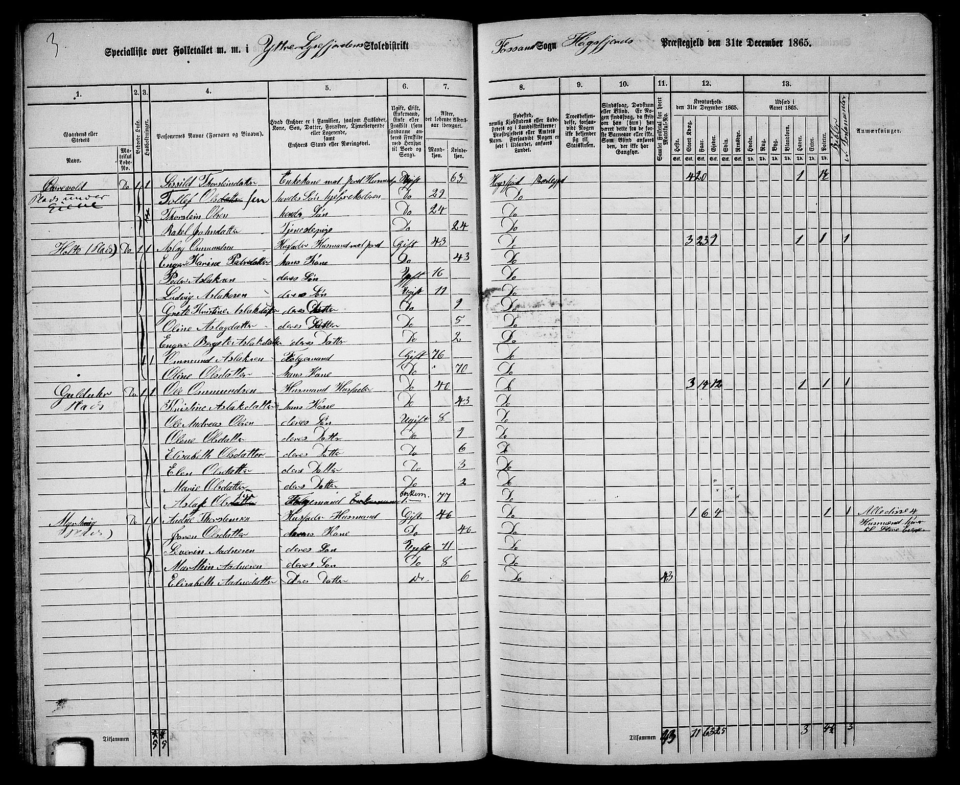 RA, 1865 census for Høgsfjord, 1865, p. 41