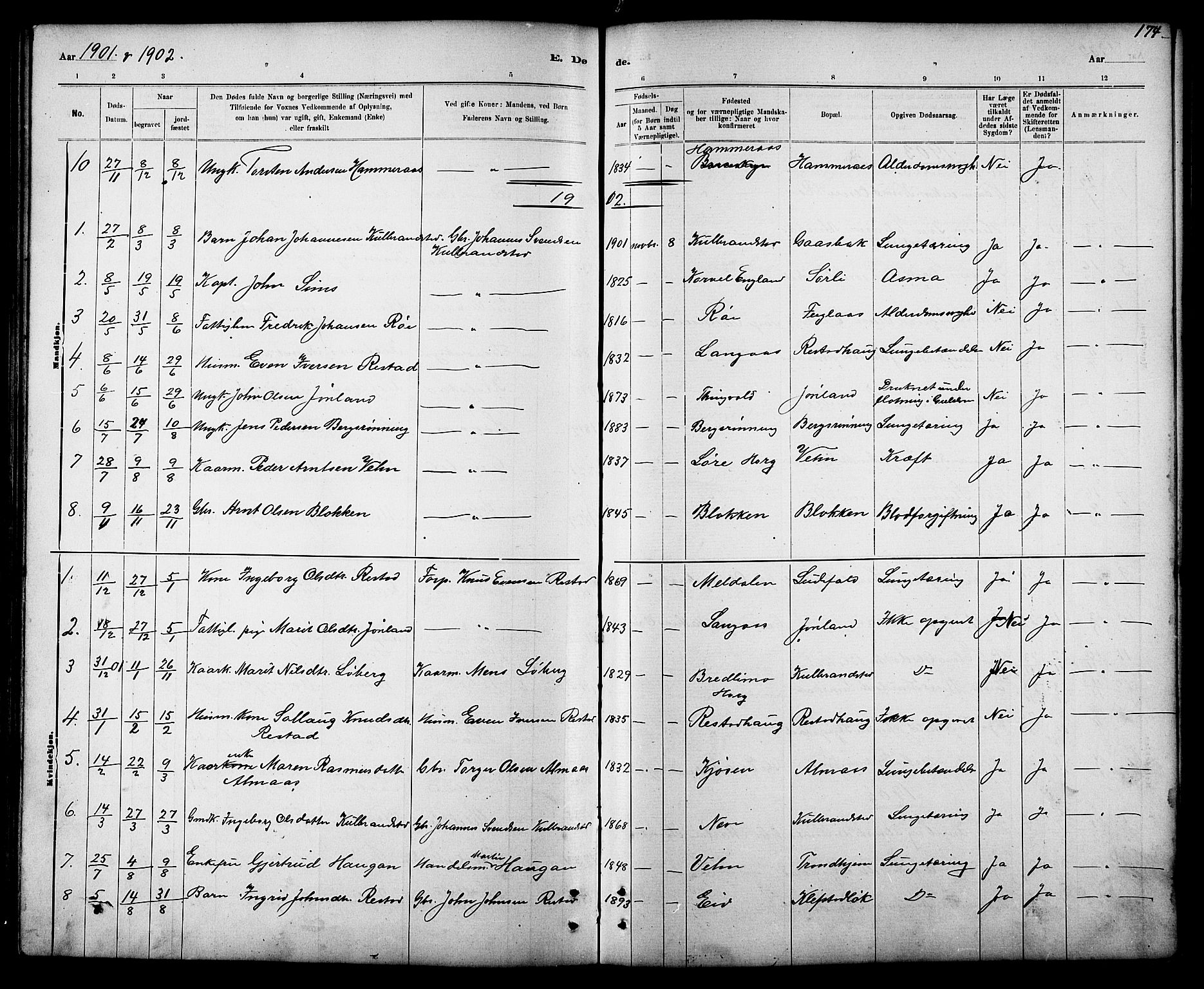 Ministerialprotokoller, klokkerbøker og fødselsregistre - Sør-Trøndelag, SAT/A-1456/694/L1132: Parish register (copy) no. 694C04, 1887-1914, p. 174