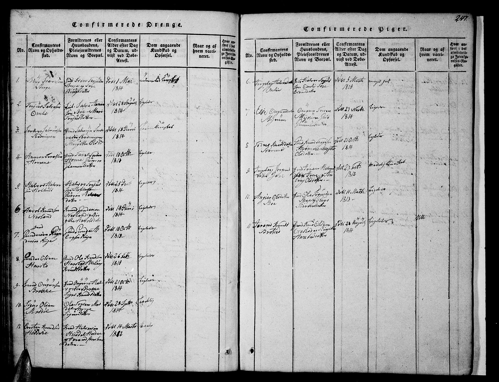 Valle sokneprestkontor, AV/SAK-1111-0044/F/Fb/Fbc/L0001: Parish register (copy) no. B 1 /1, 1816-1829, p. 247